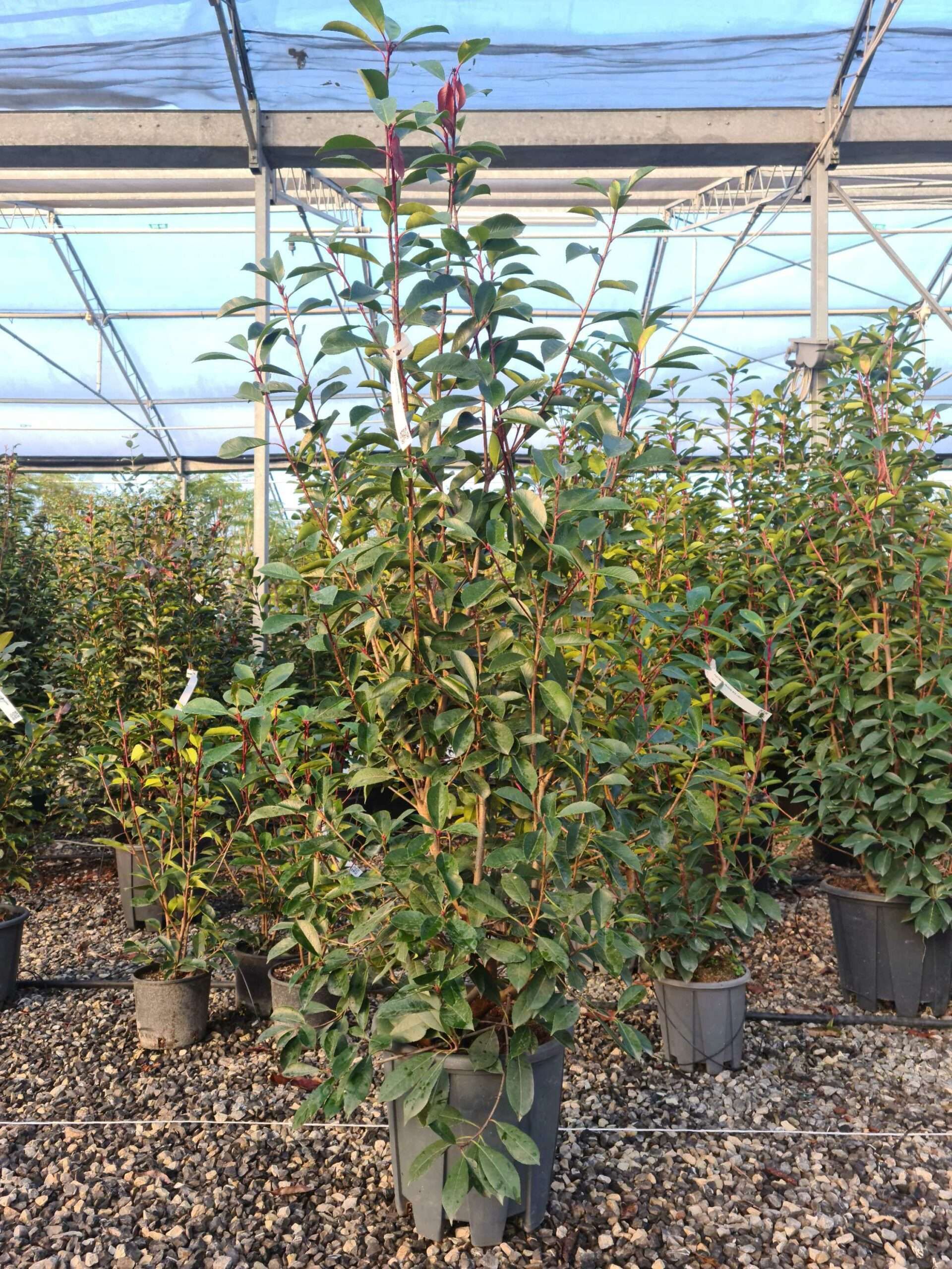 1639470363 scaled 789e3bf5