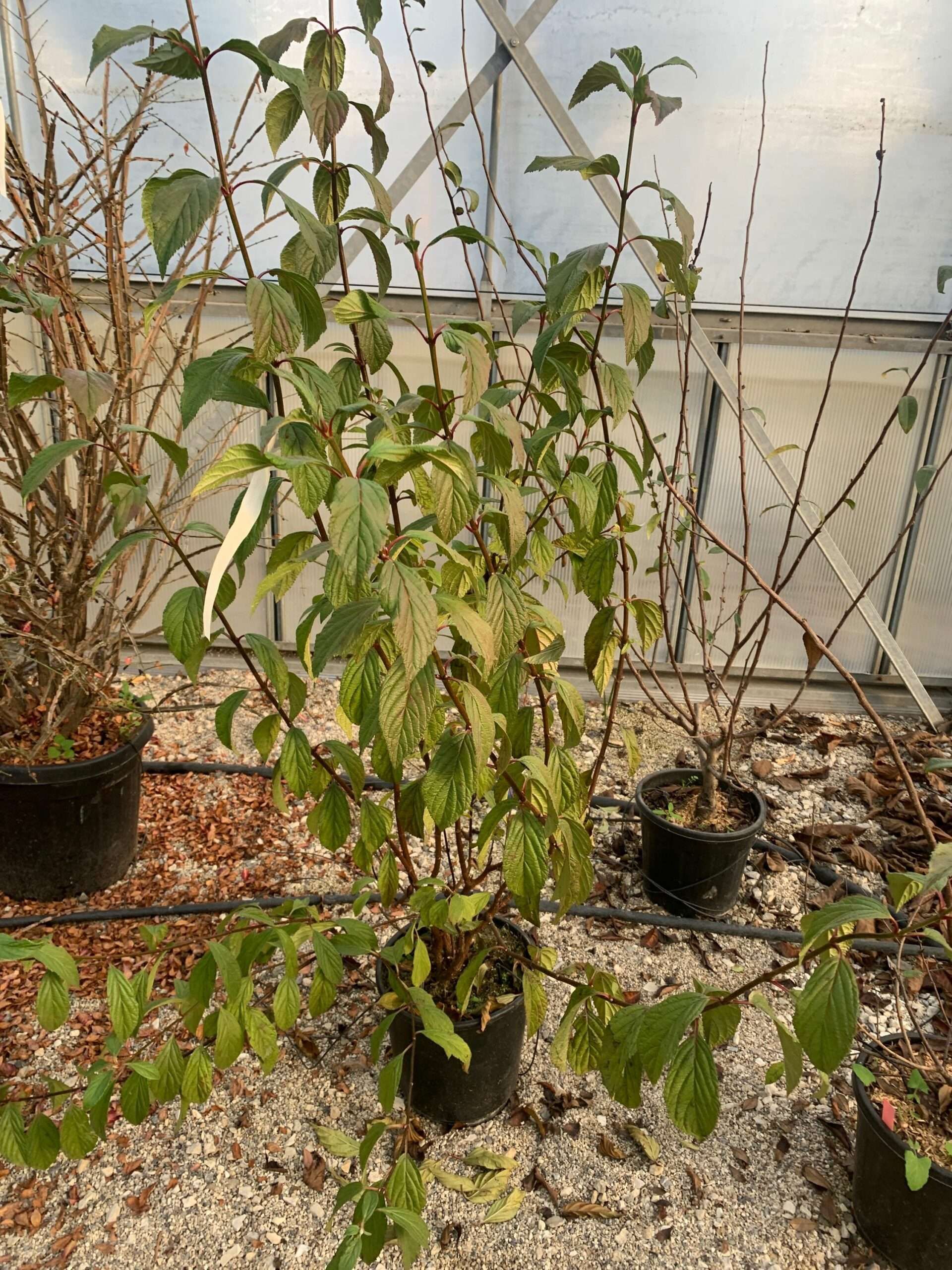 1639489842 scaled 7873efd5