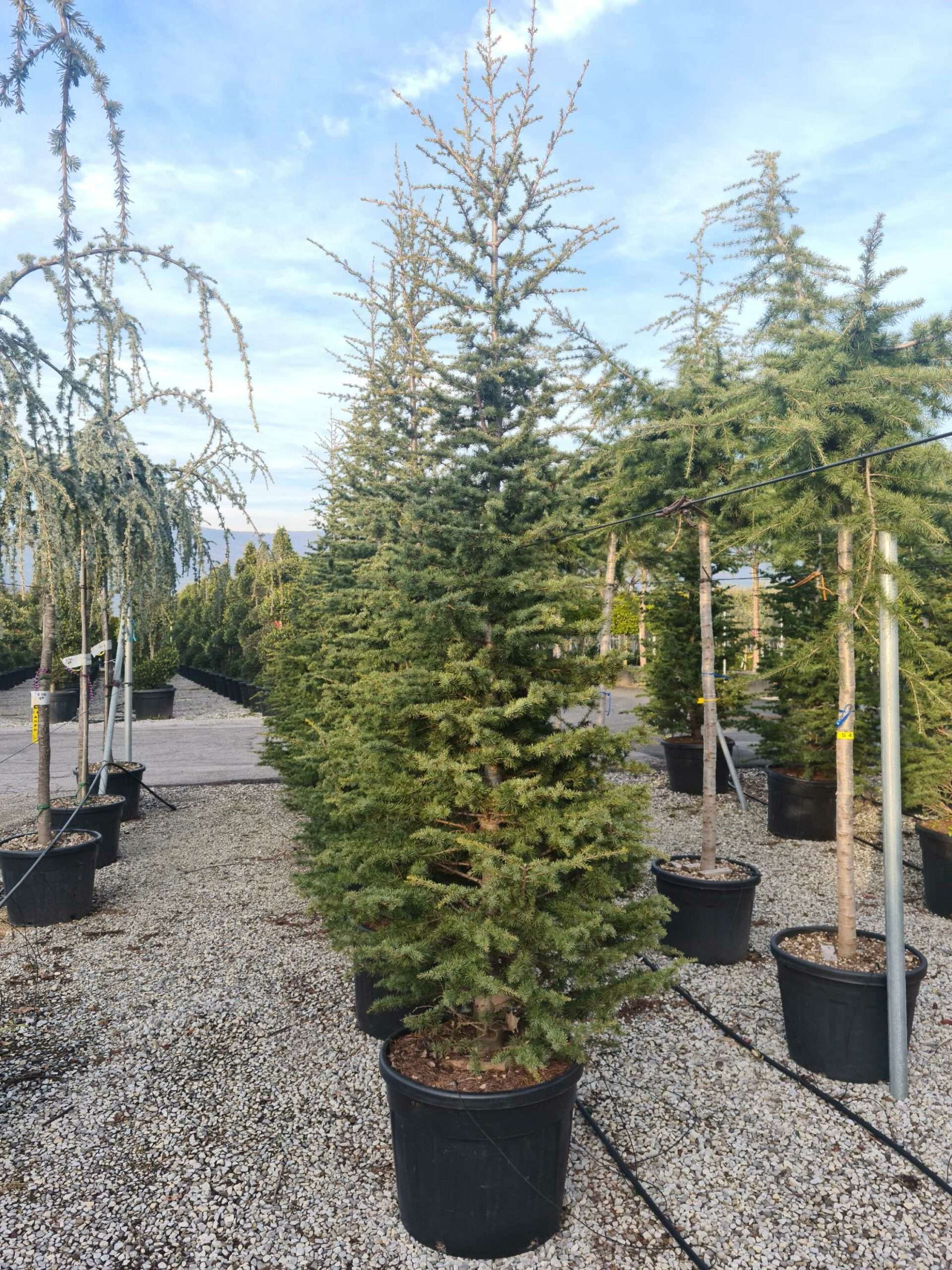 1639491692 scaled 7873bfd4