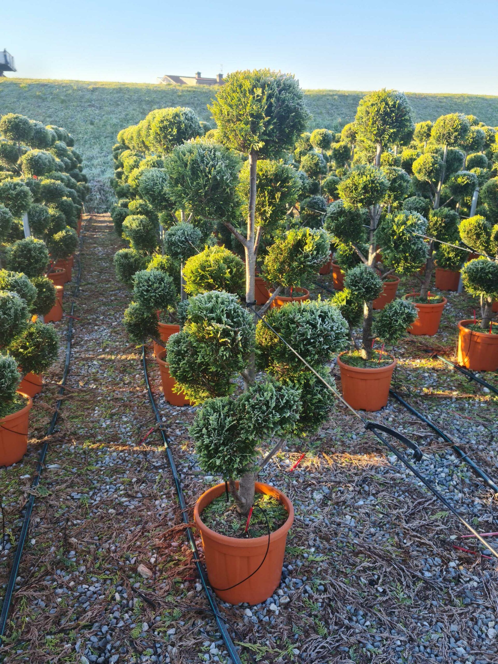 1639815388 scaled 78443c8d