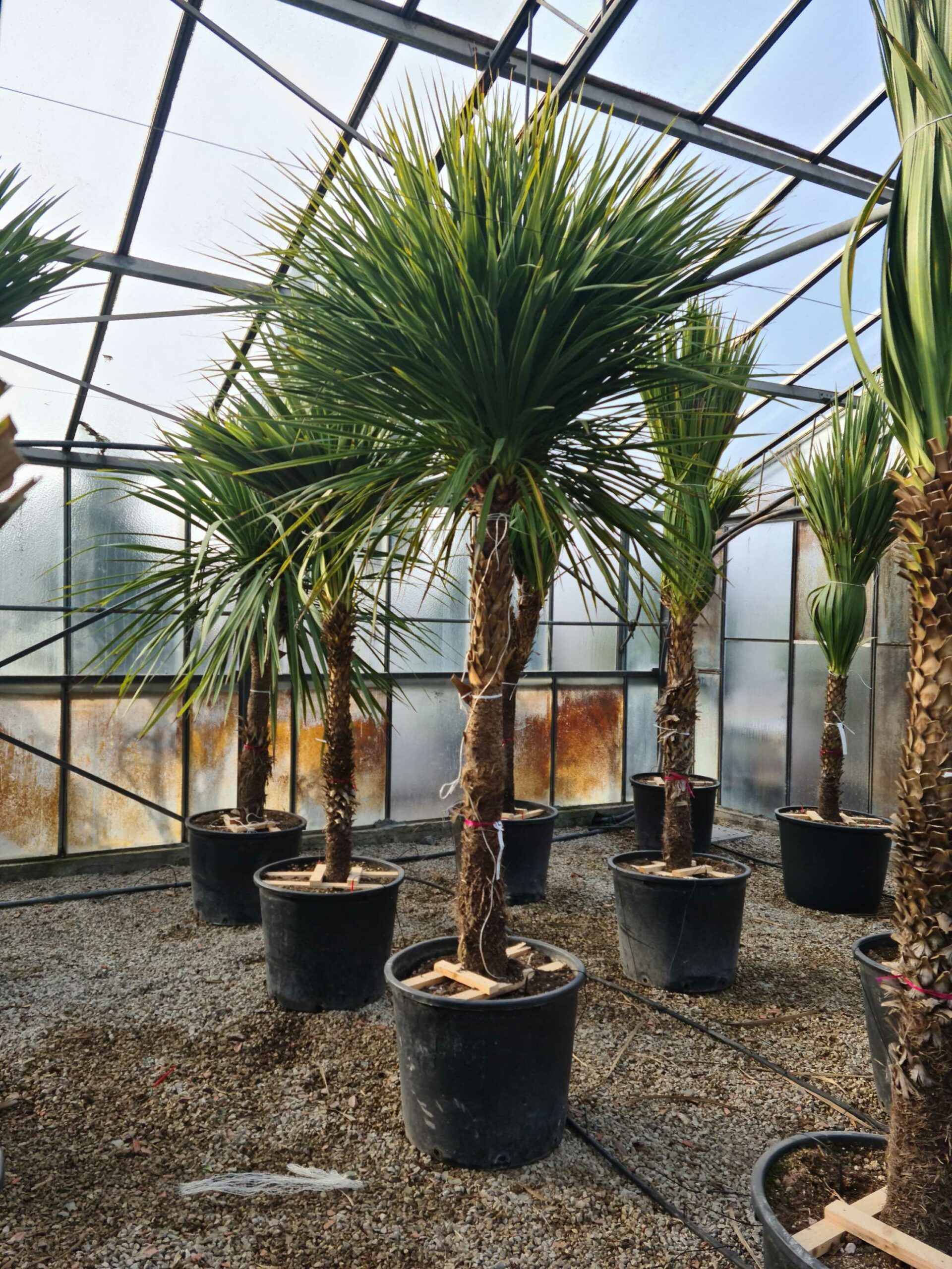 1642755361 scaled 78a9e7cd