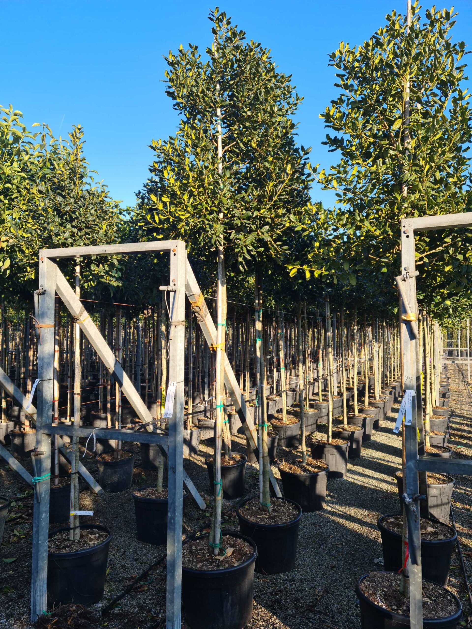 1643098974 scaled 787f893d