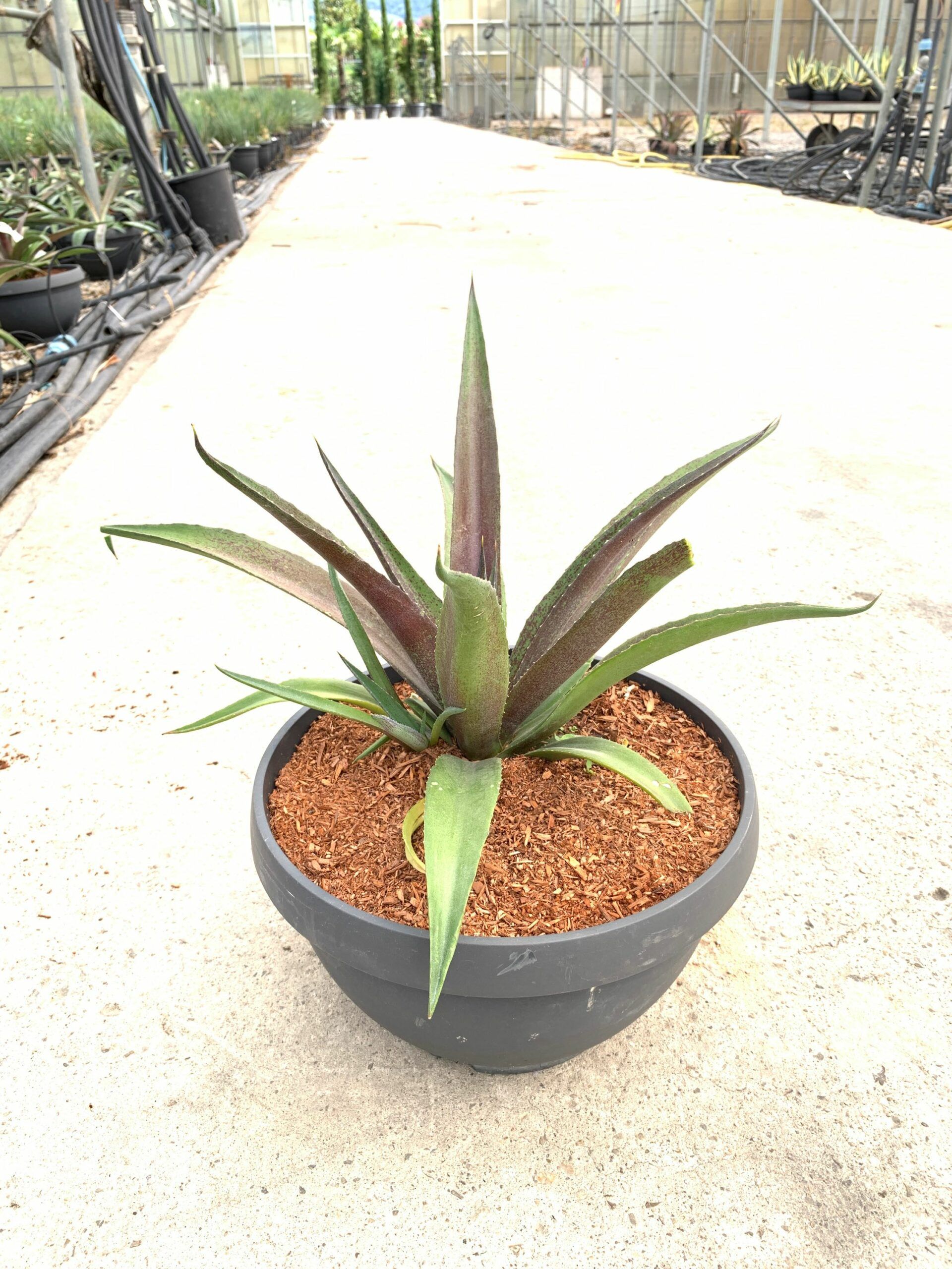 1659601394 scaled 78d85965