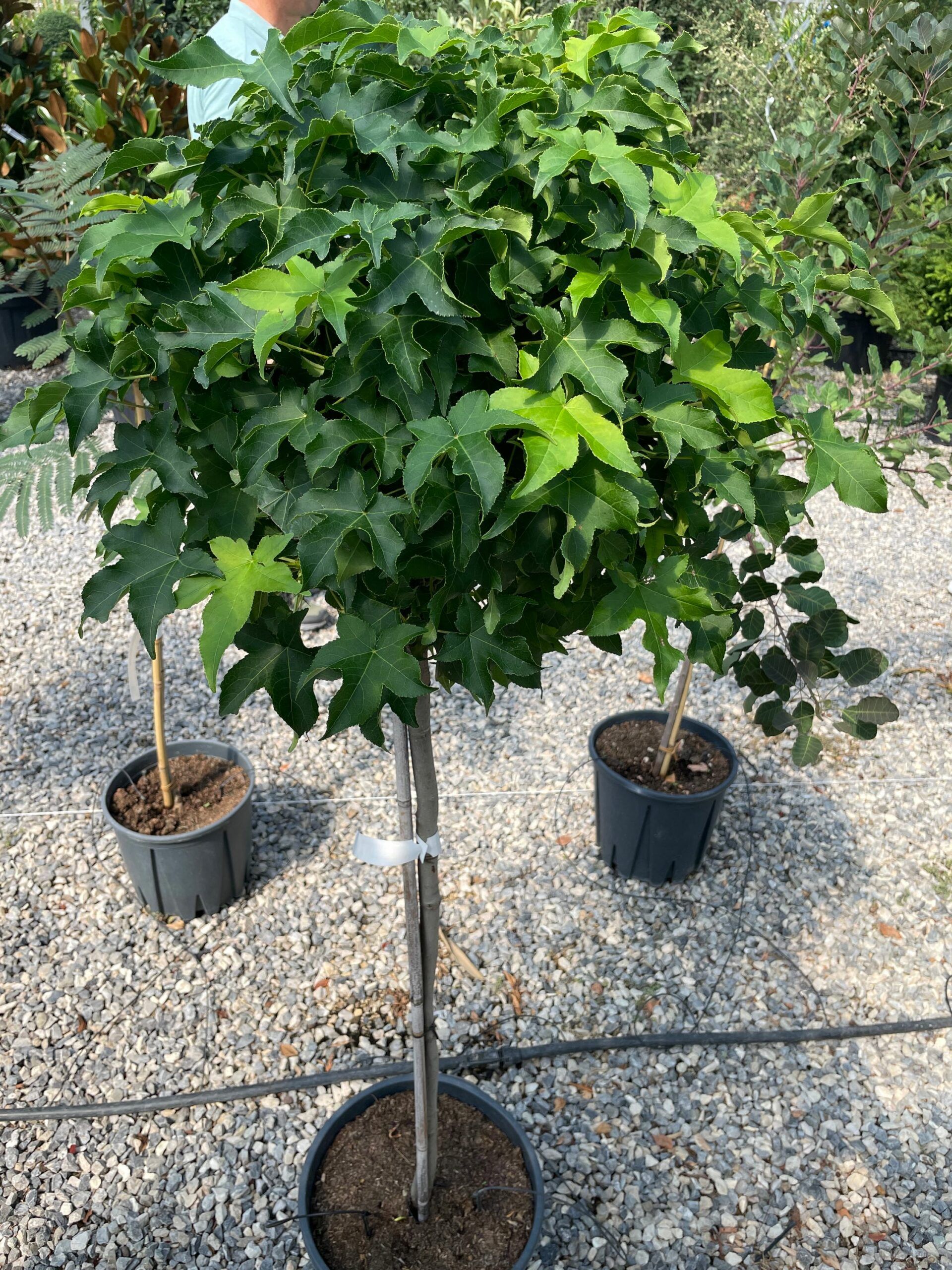 1661938230 scaled 78f65300