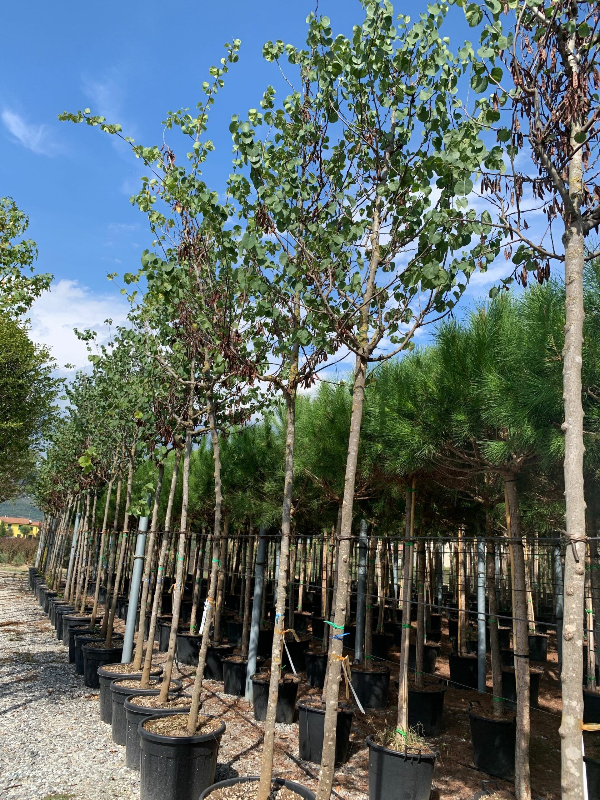 1662124212 scaled 786b2ad4