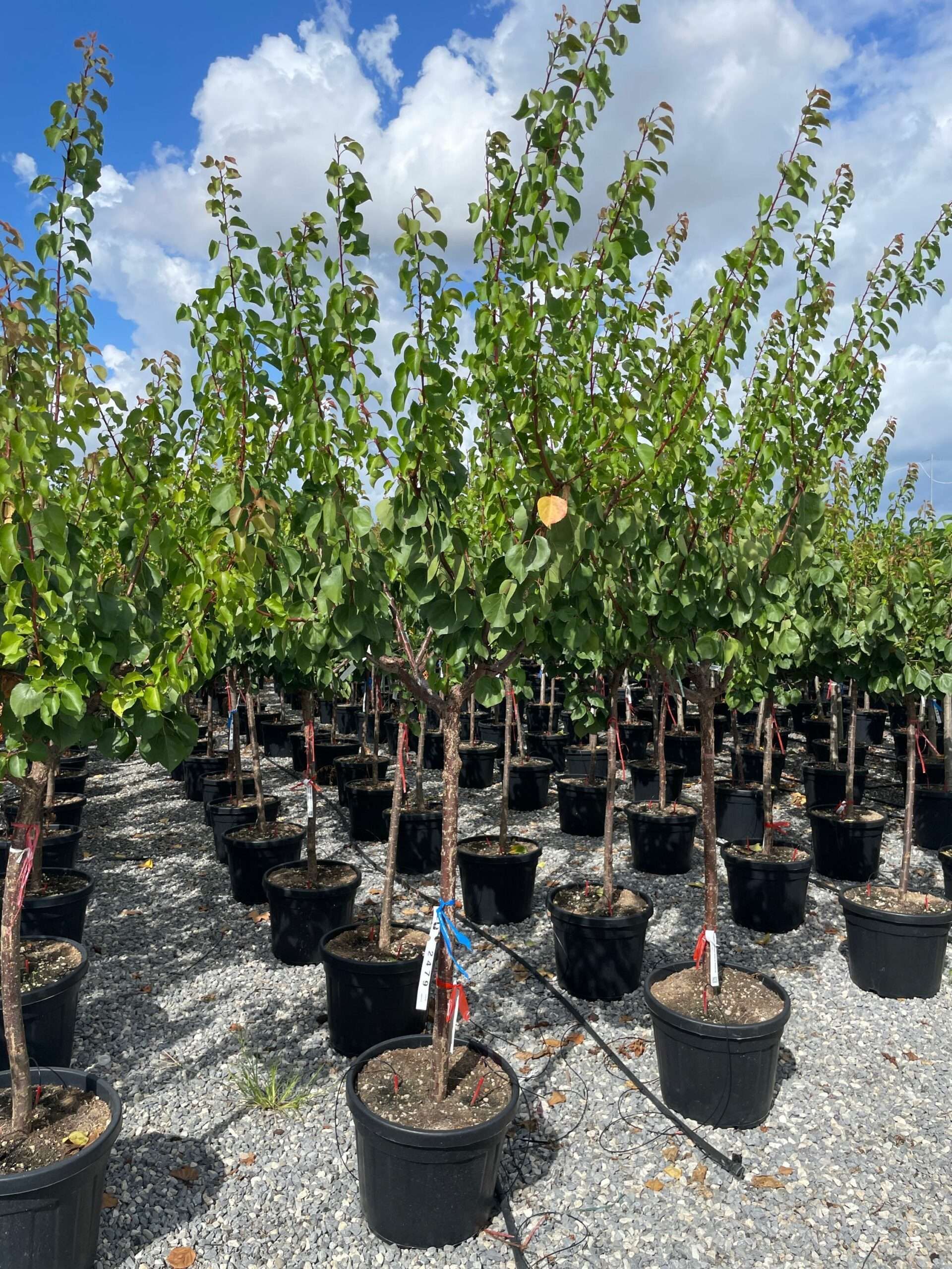 1662714434 scaled 7894514b