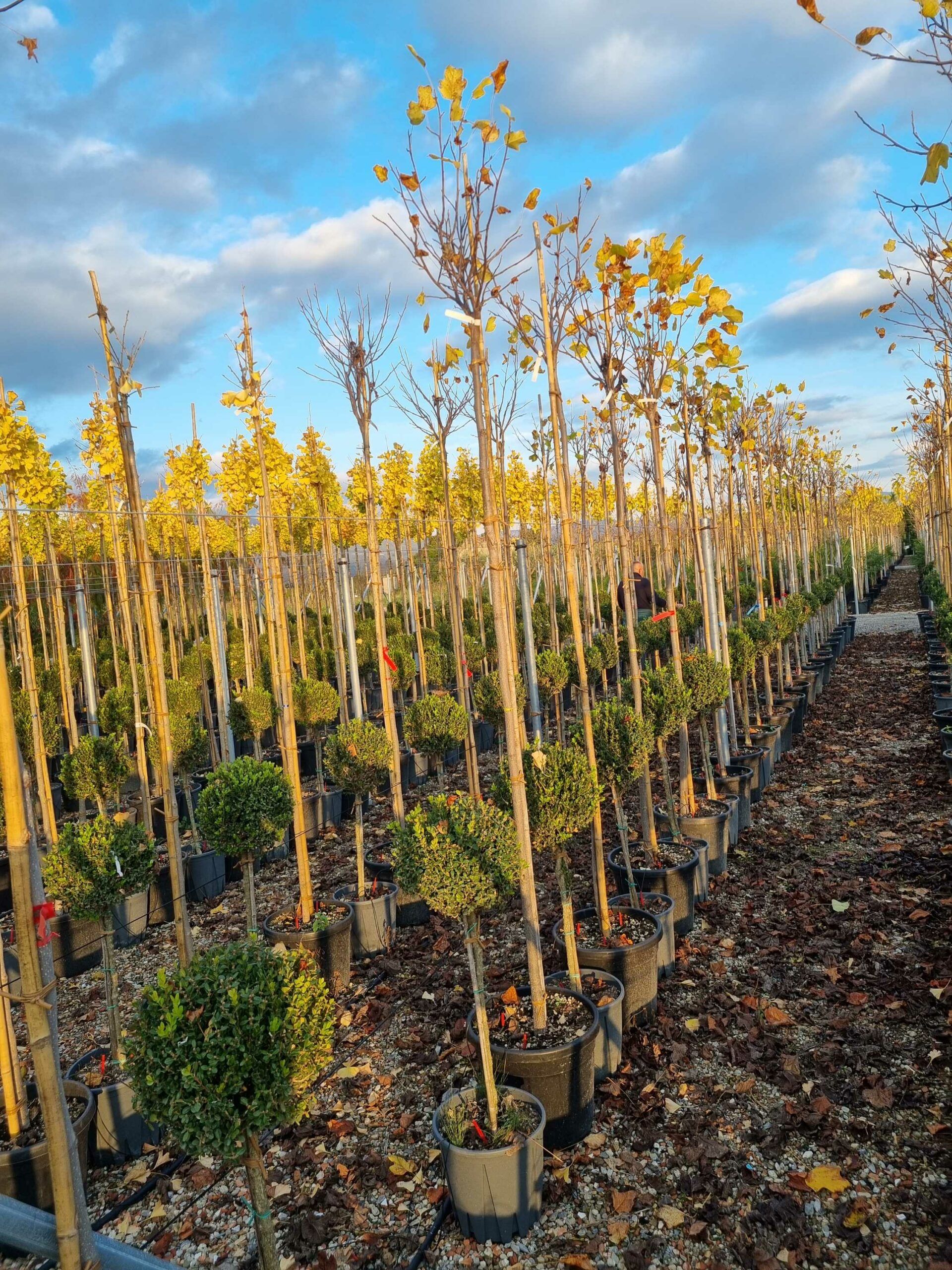 1668438210 scaled 78066ea3