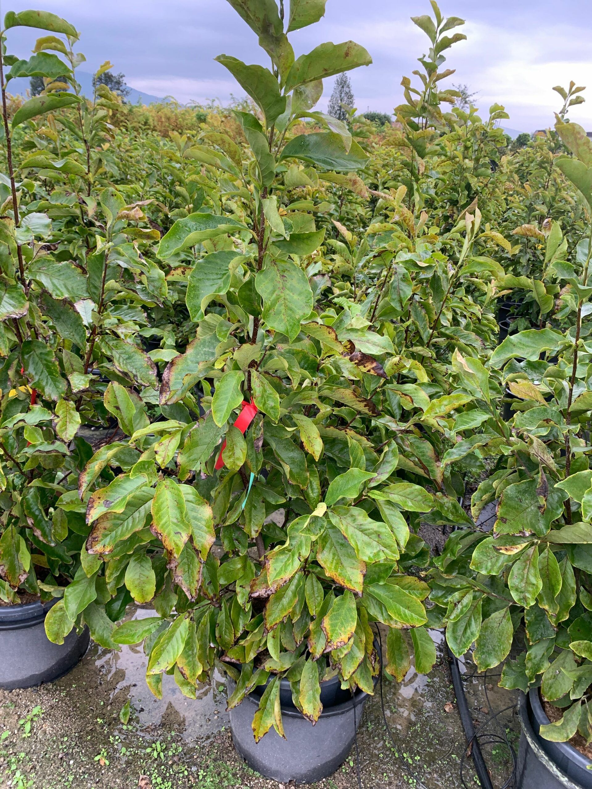 1633339147 scaled 79bca24d