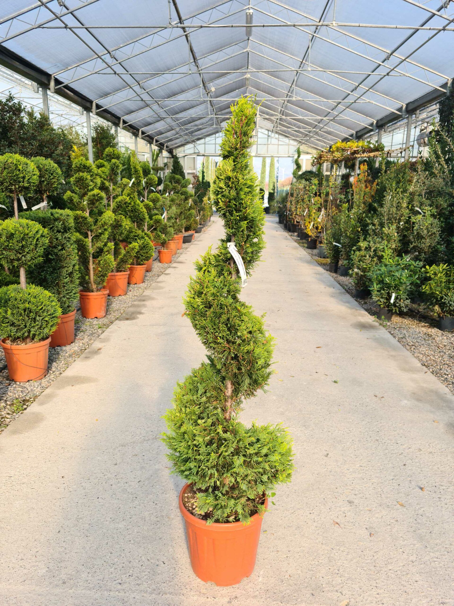 1639479327 scaled 791435c3