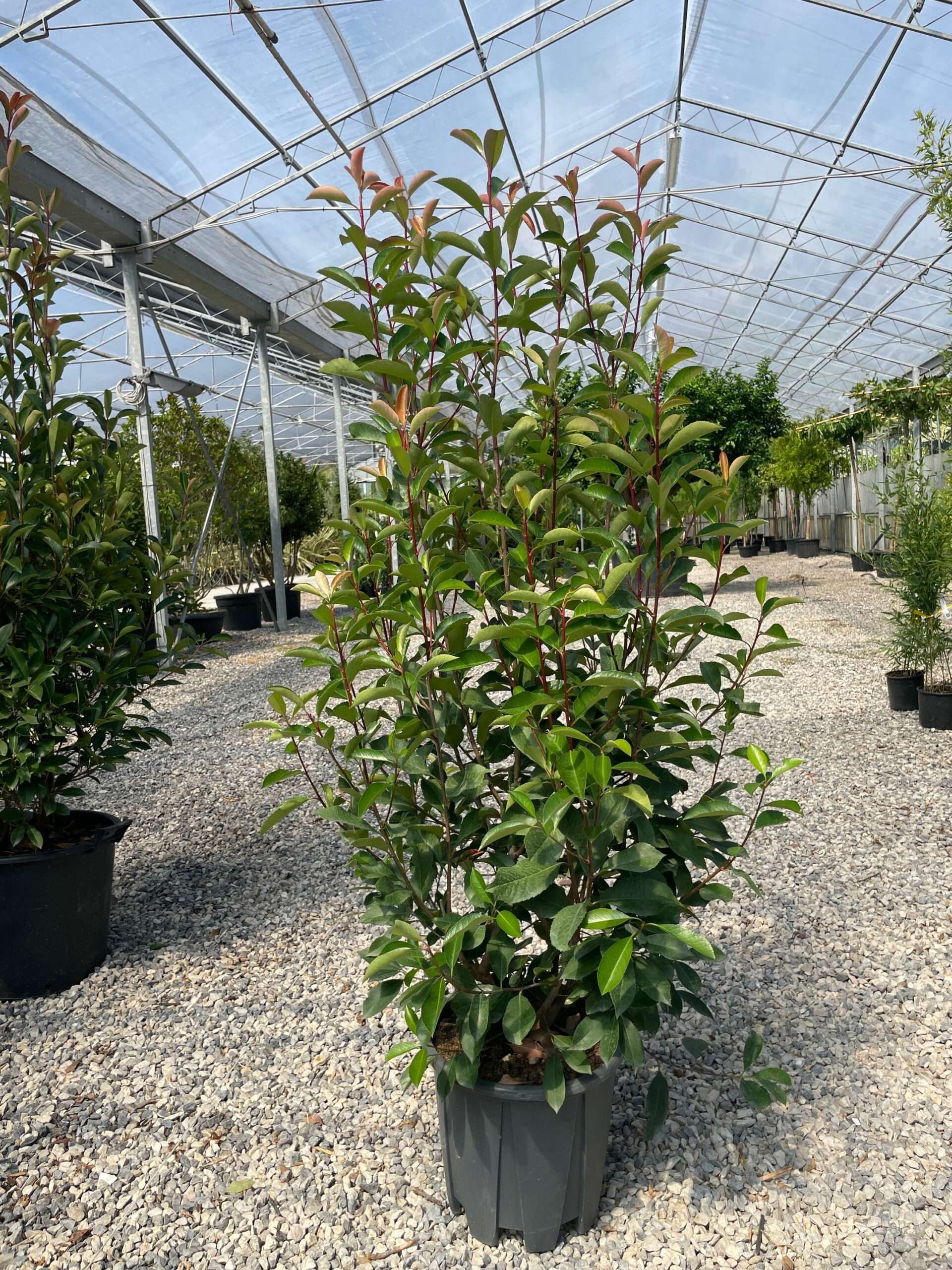 1661344645 scaled 79692598