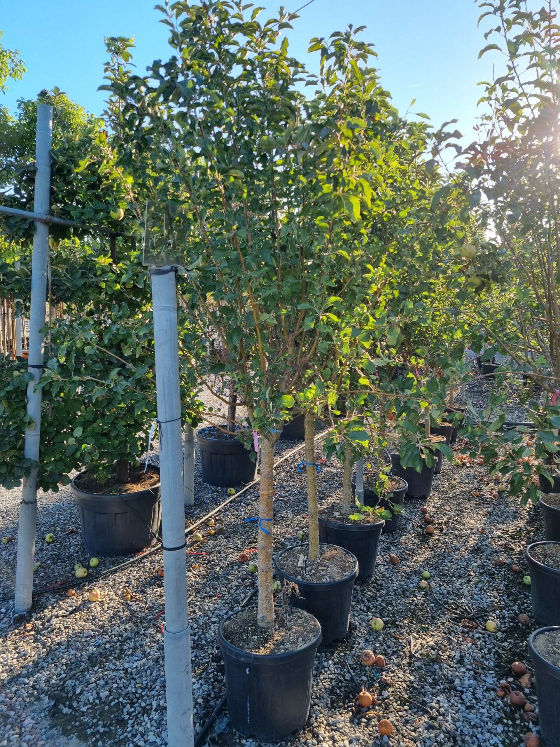 1663741484 scaled 79a4f803