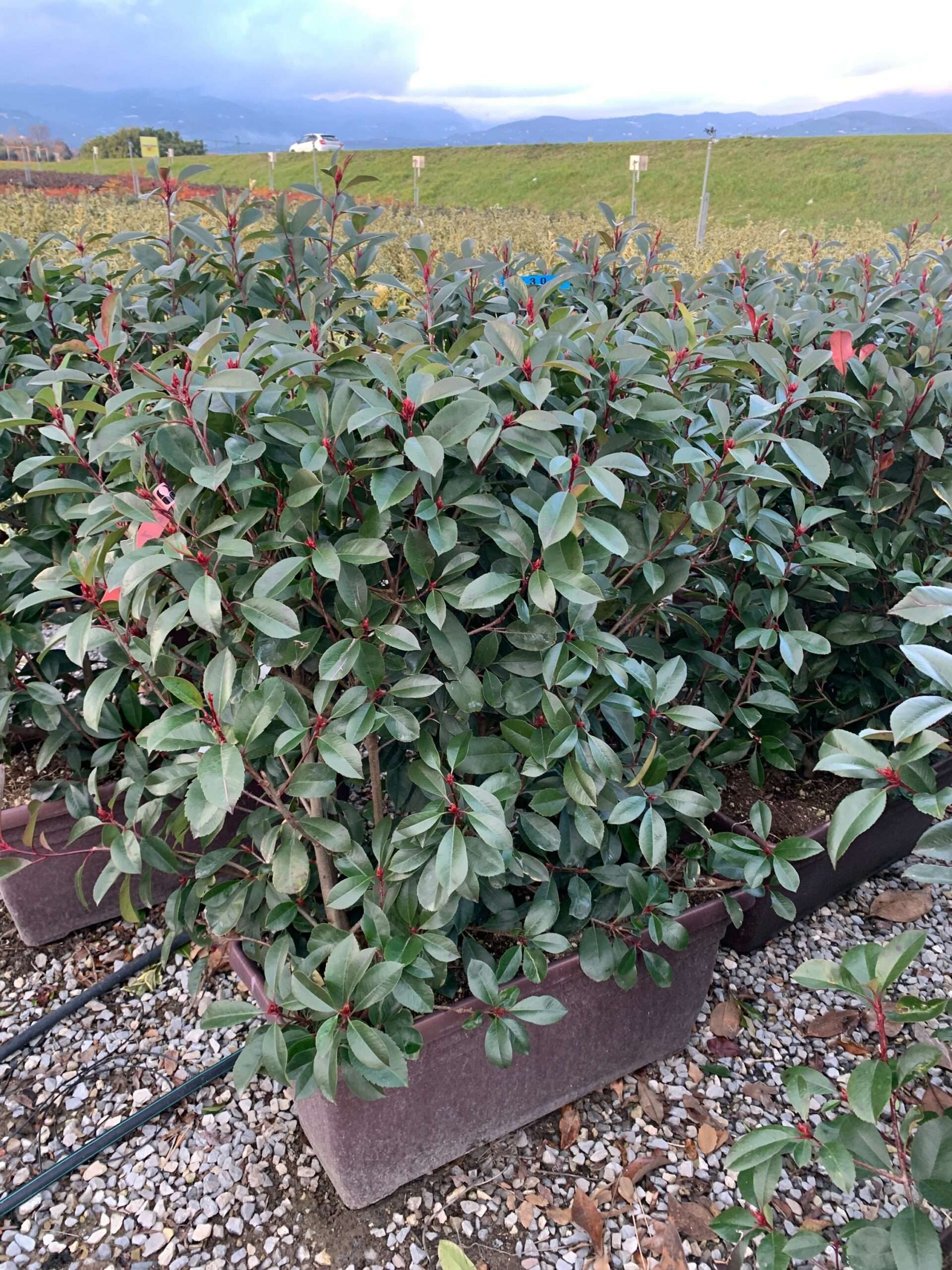 1642690651 scaled 7ad42cde