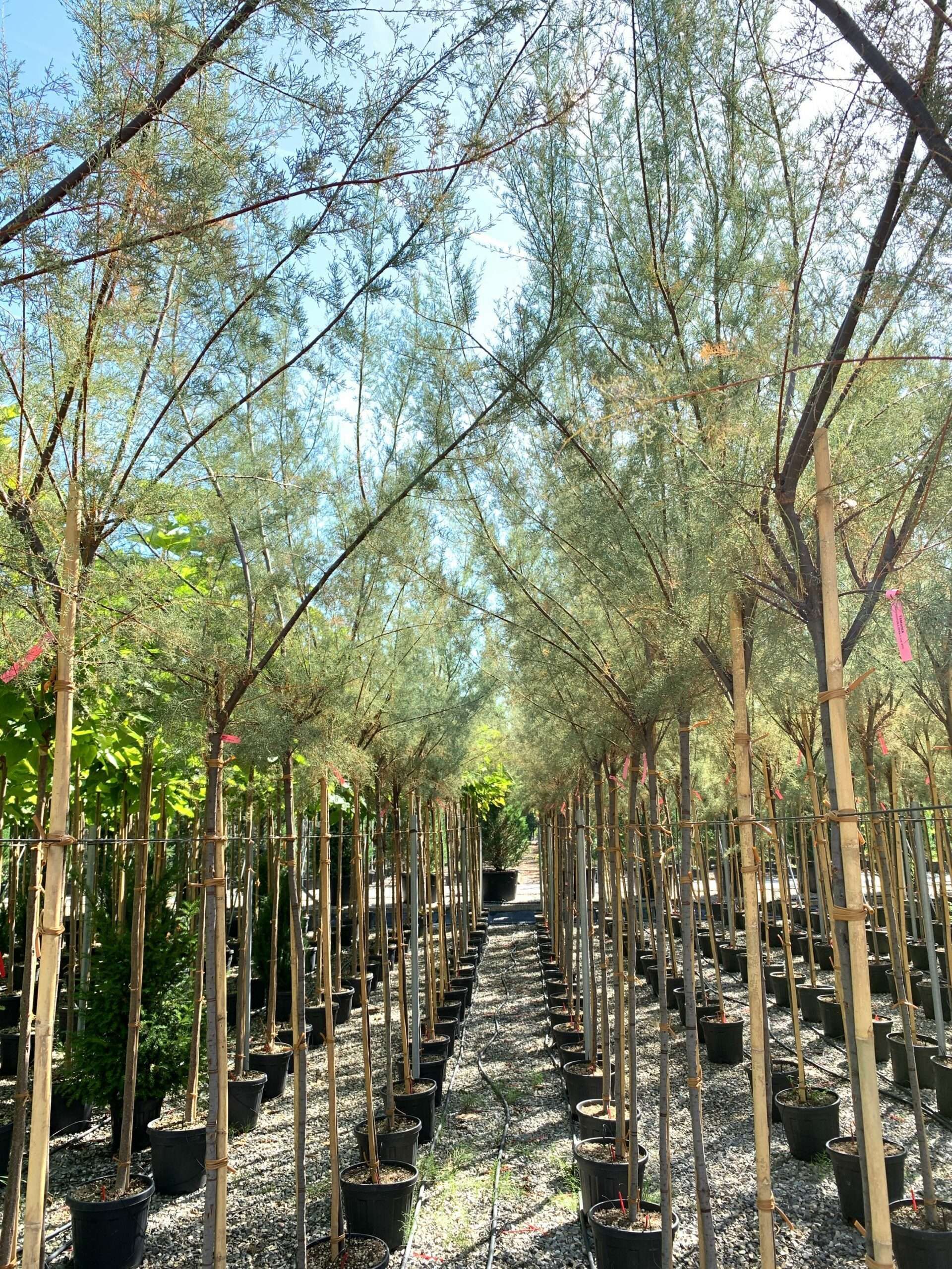 1662454842 scaled 7a556365