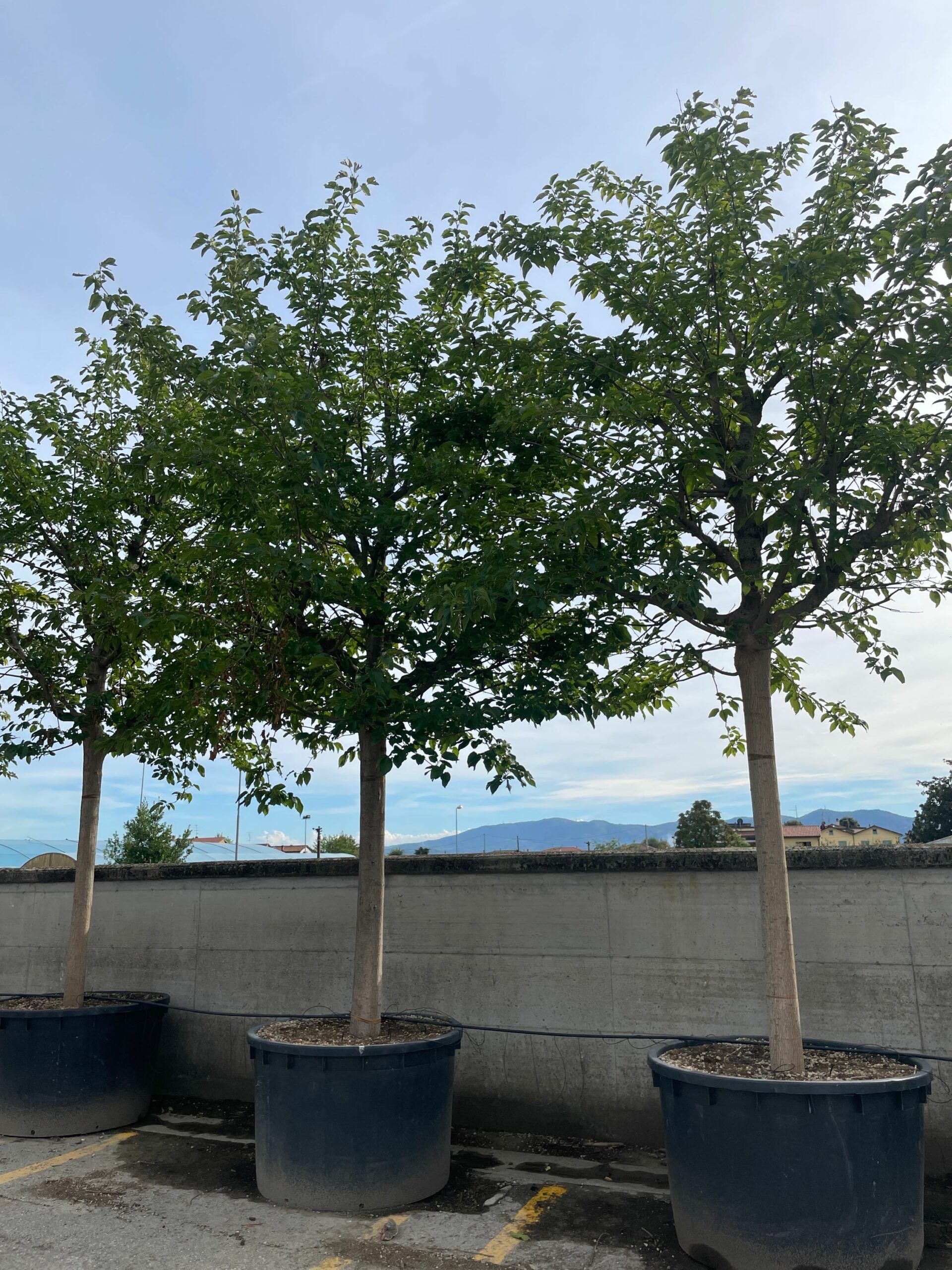 1664891965 scaled 7a4e4efc