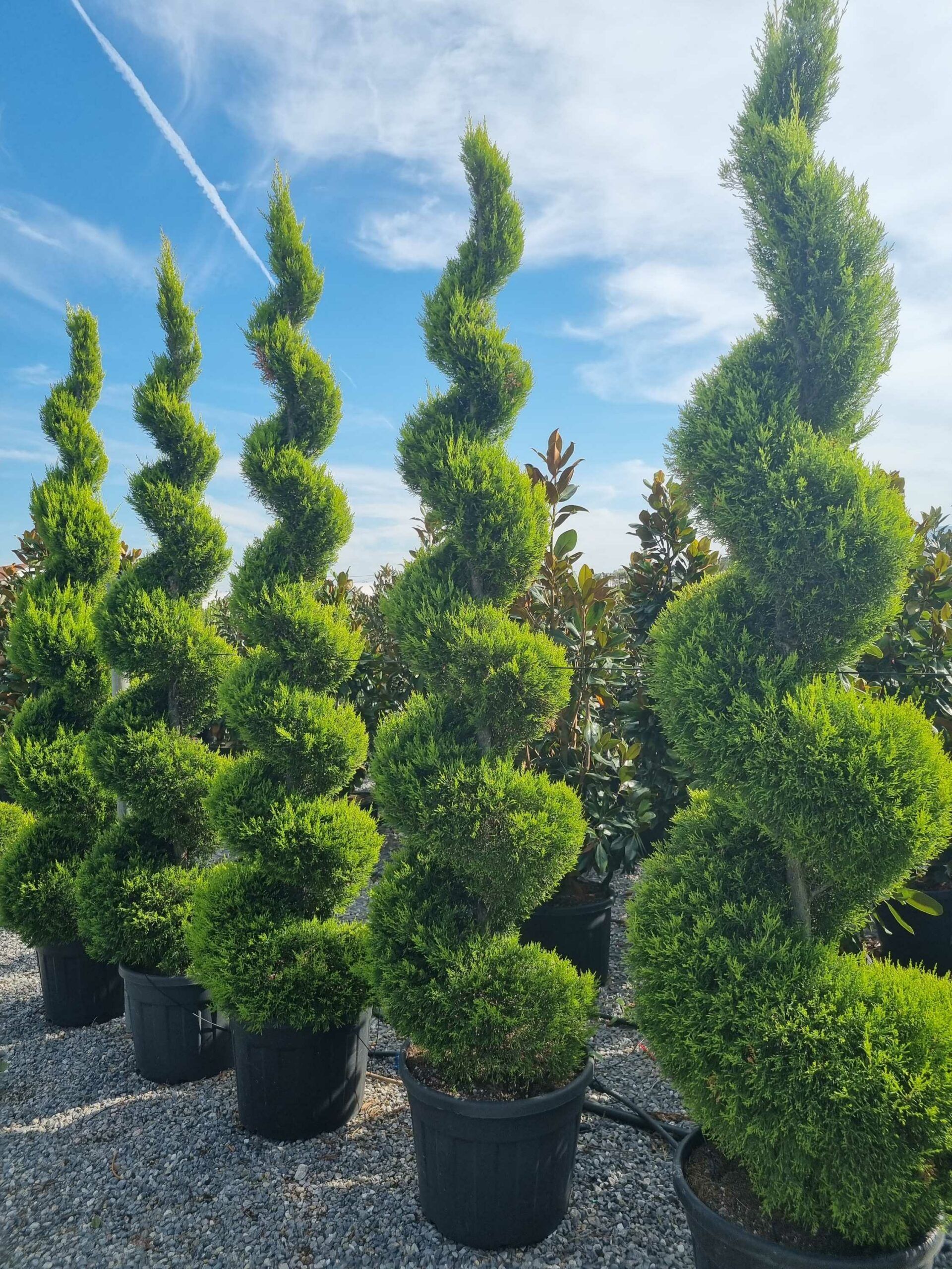 1665061394 scaled 7ad1ca16