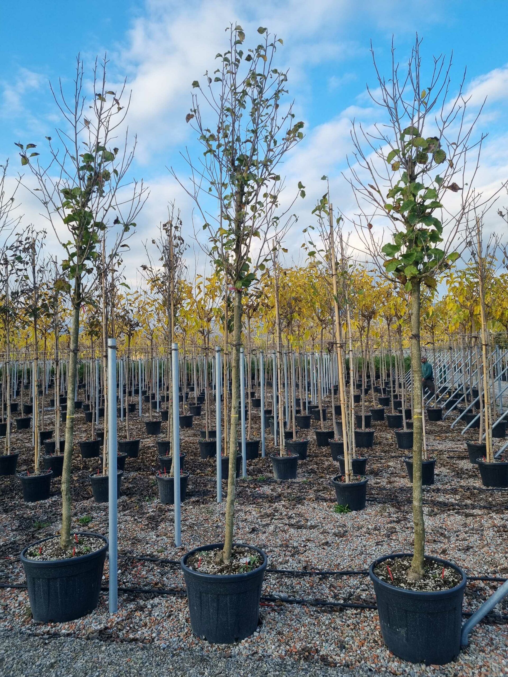 1668436512 scaled 7a3a45a5