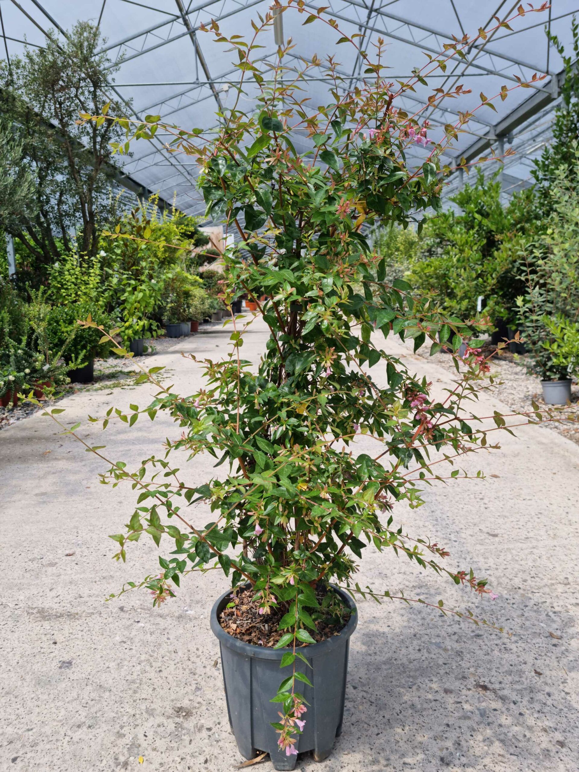 1687266604 scaled 7aa48112