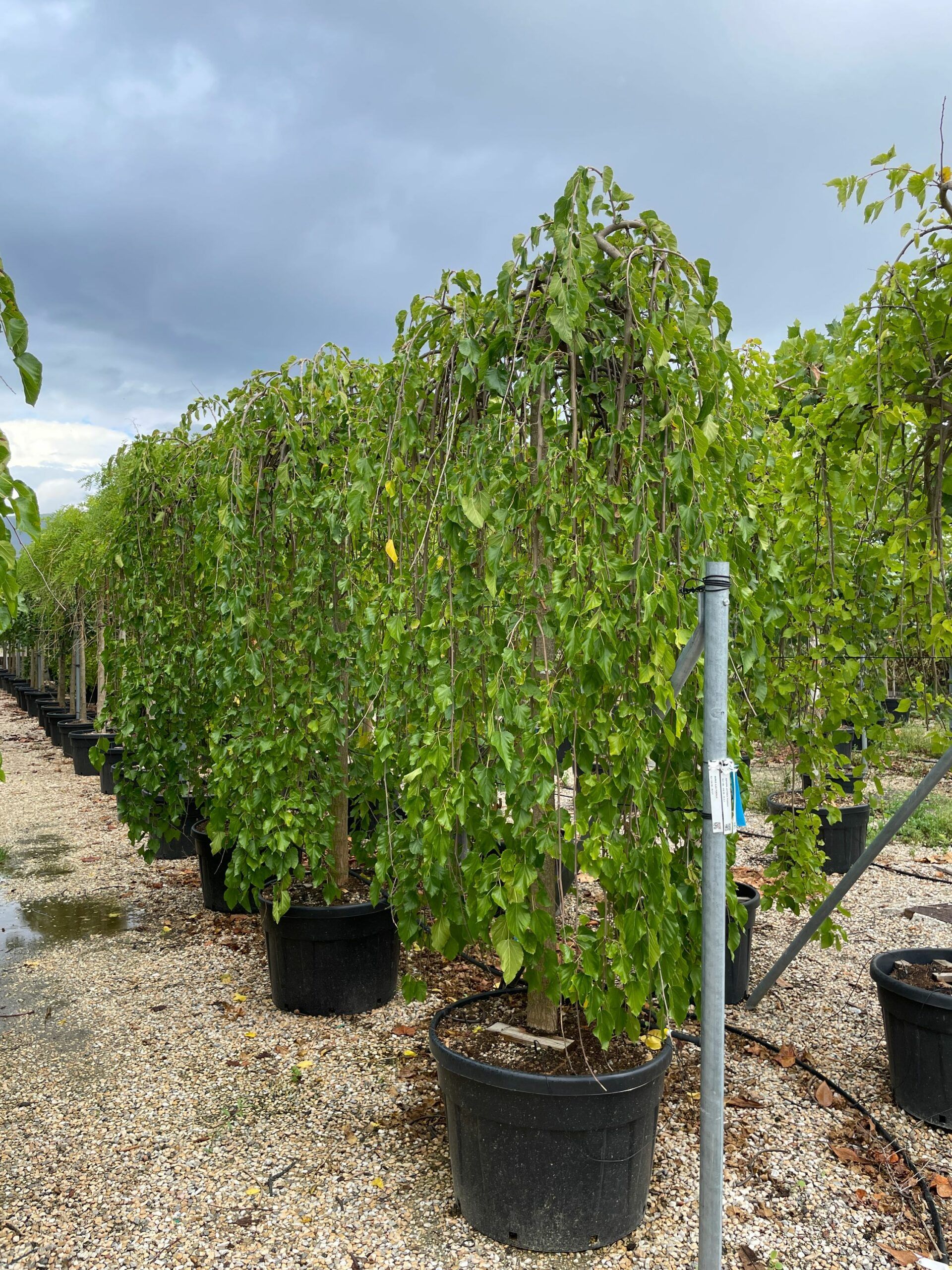 1631885179 scaled 7b08229a