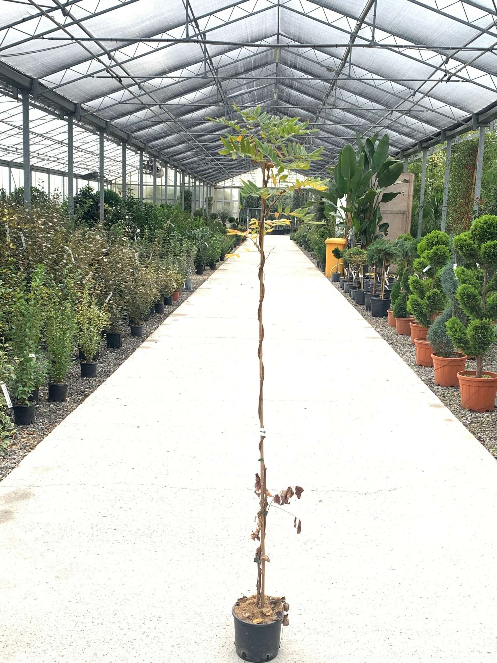 1637575680 scaled 7b629f35