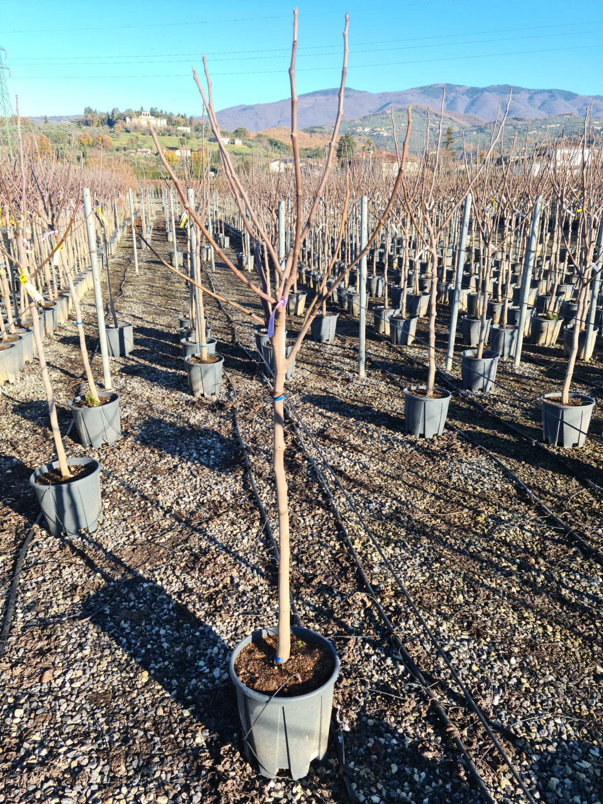 1639645127 scaled 7beee57c