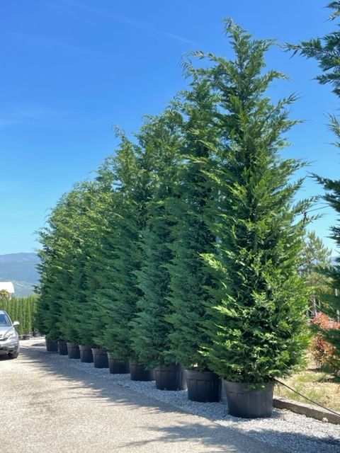 1661587972 IMG 1431 7ba365f3