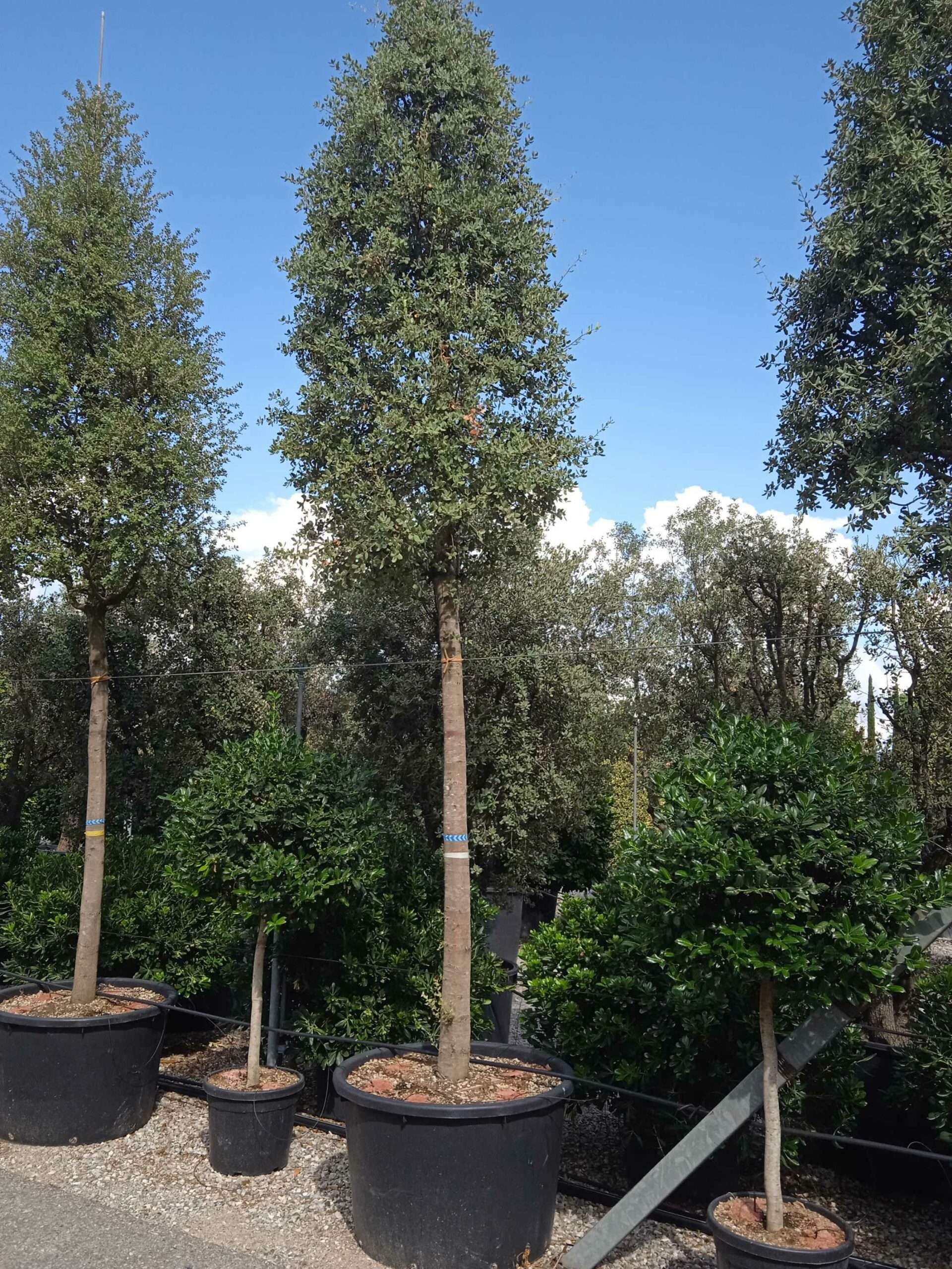 1661781062 scaled 7bd57f70