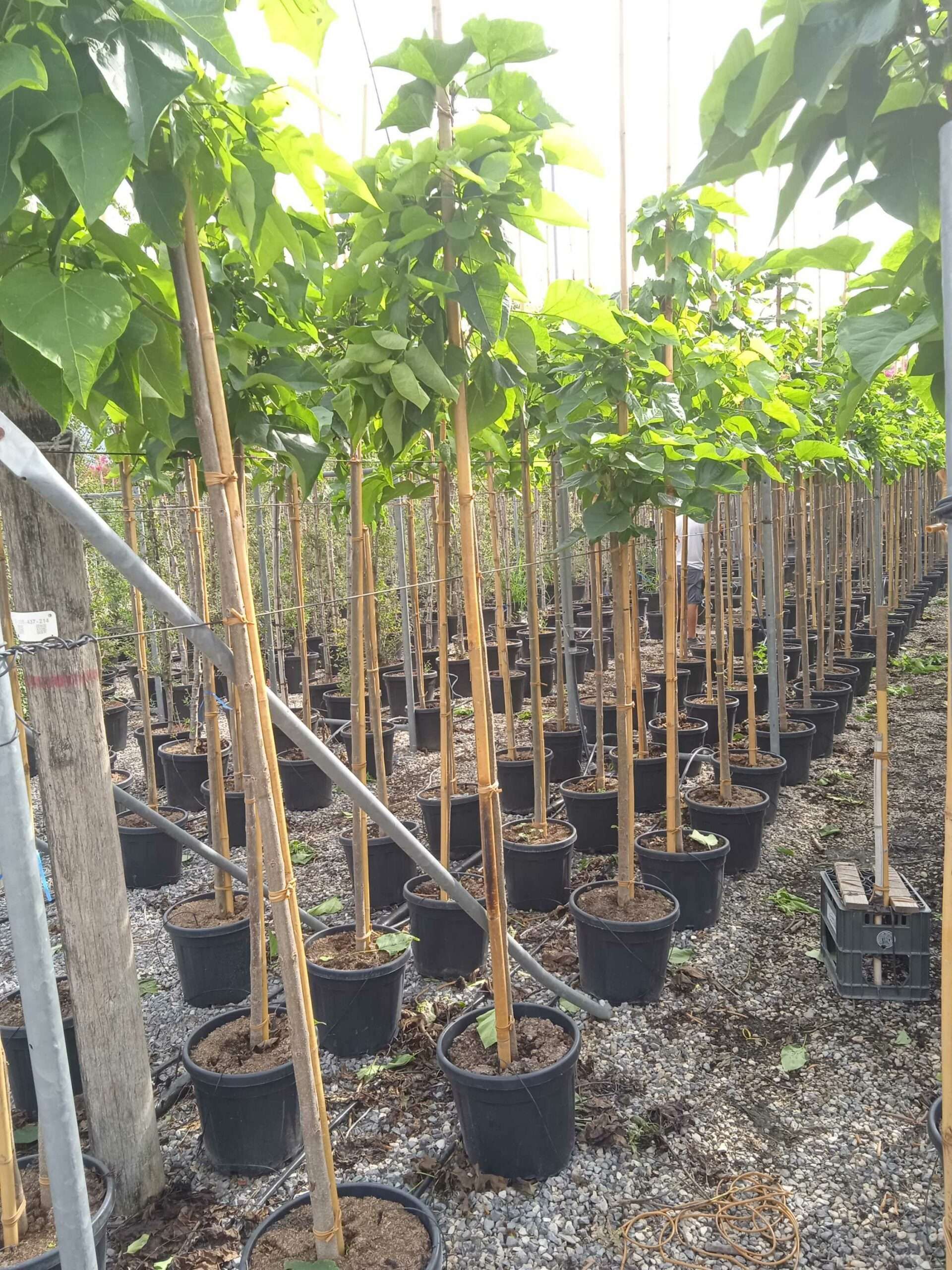 1662019015 scaled 7bf6871e