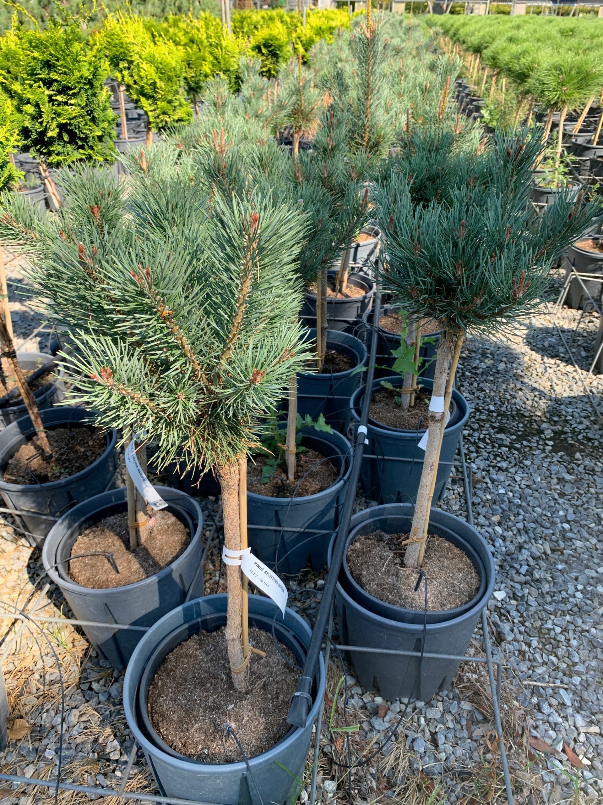 1662109237 scaled 7b7f9816