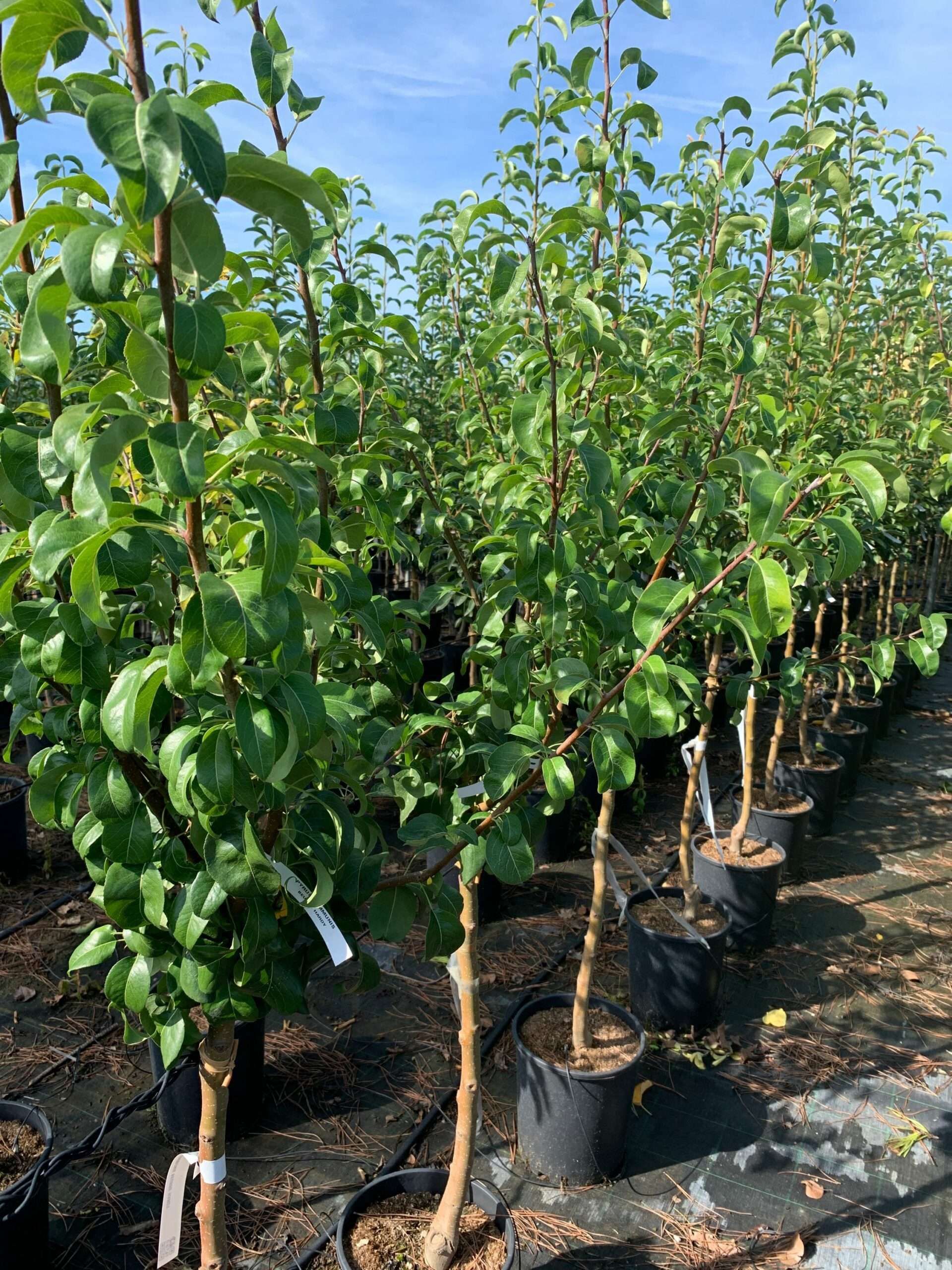 1662366727 scaled 7bd0c302