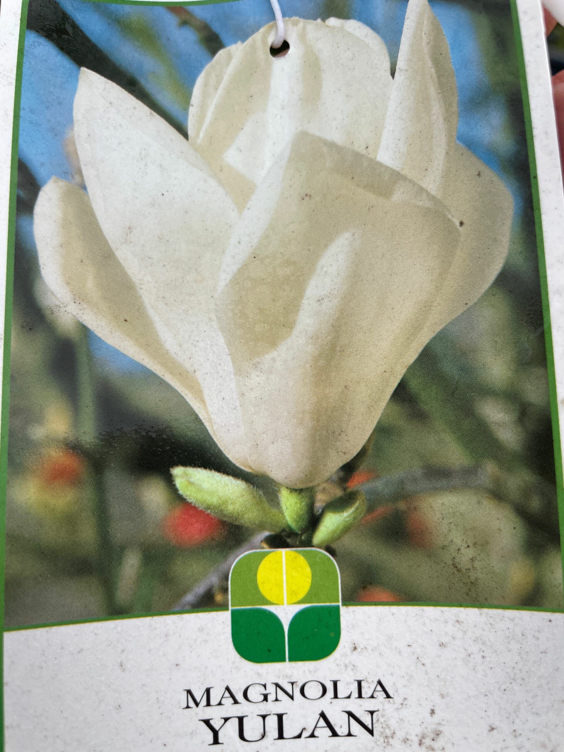 1670583003 scaled 7b61d3d1