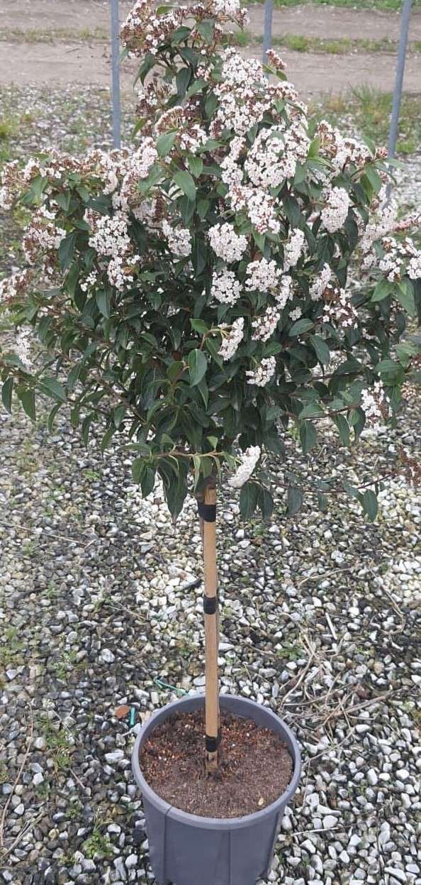 1679676807 1 7b3a9f5c