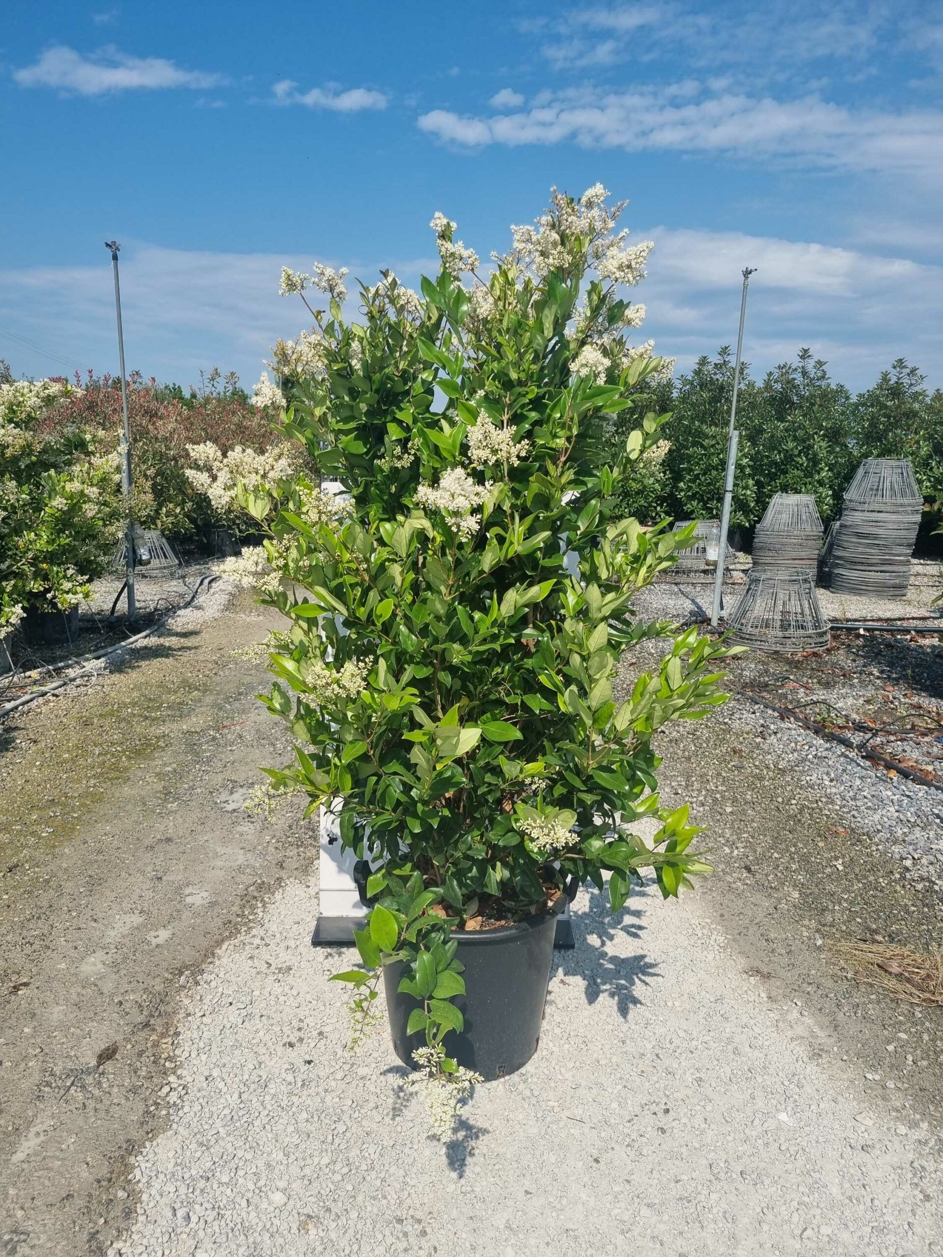 1685433713 scaled 7b728811