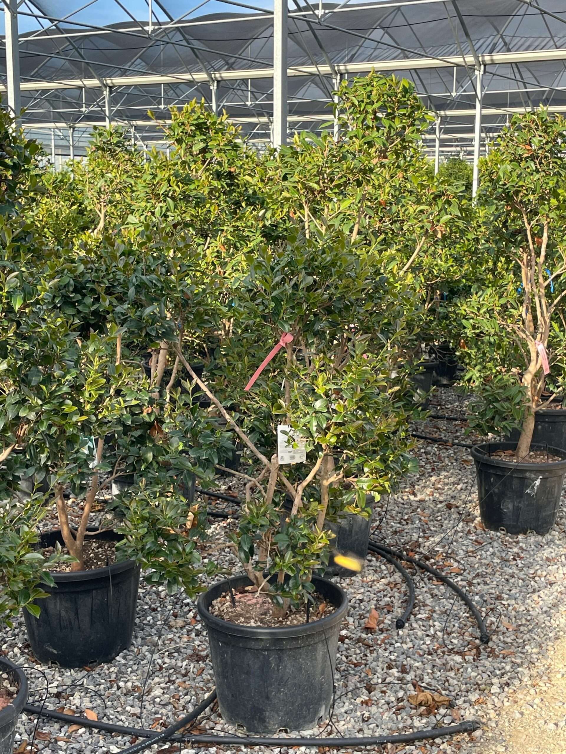 1691512088 scaled 7bb5ed87