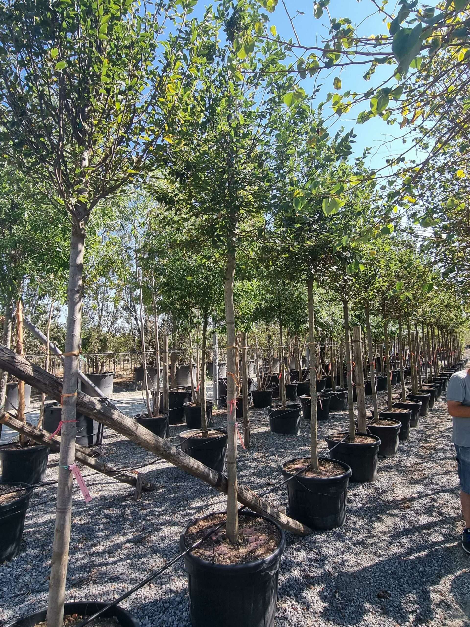 1692712631 scaled 7bb59c63