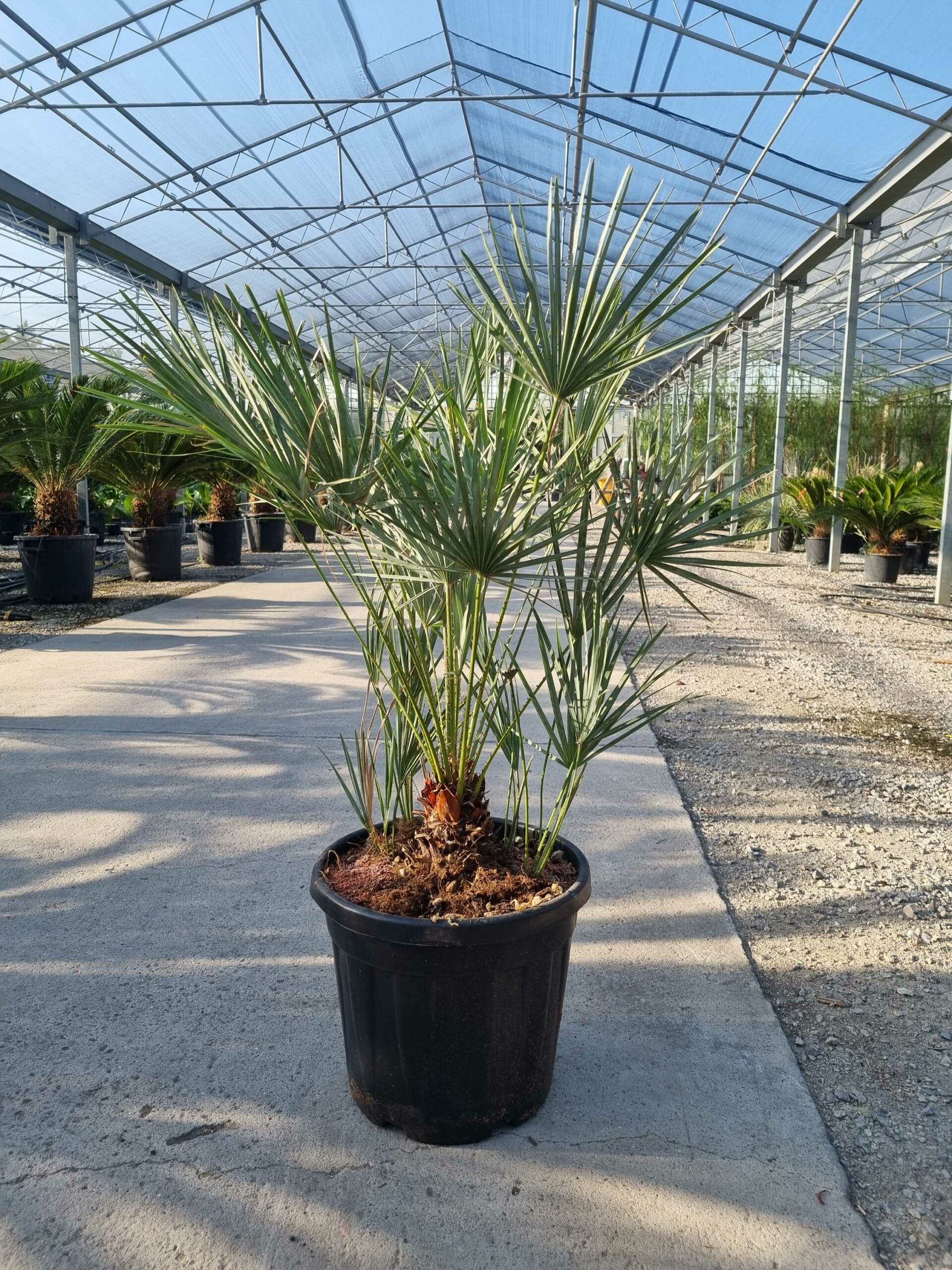 1692945136 scaled 7b2662c4