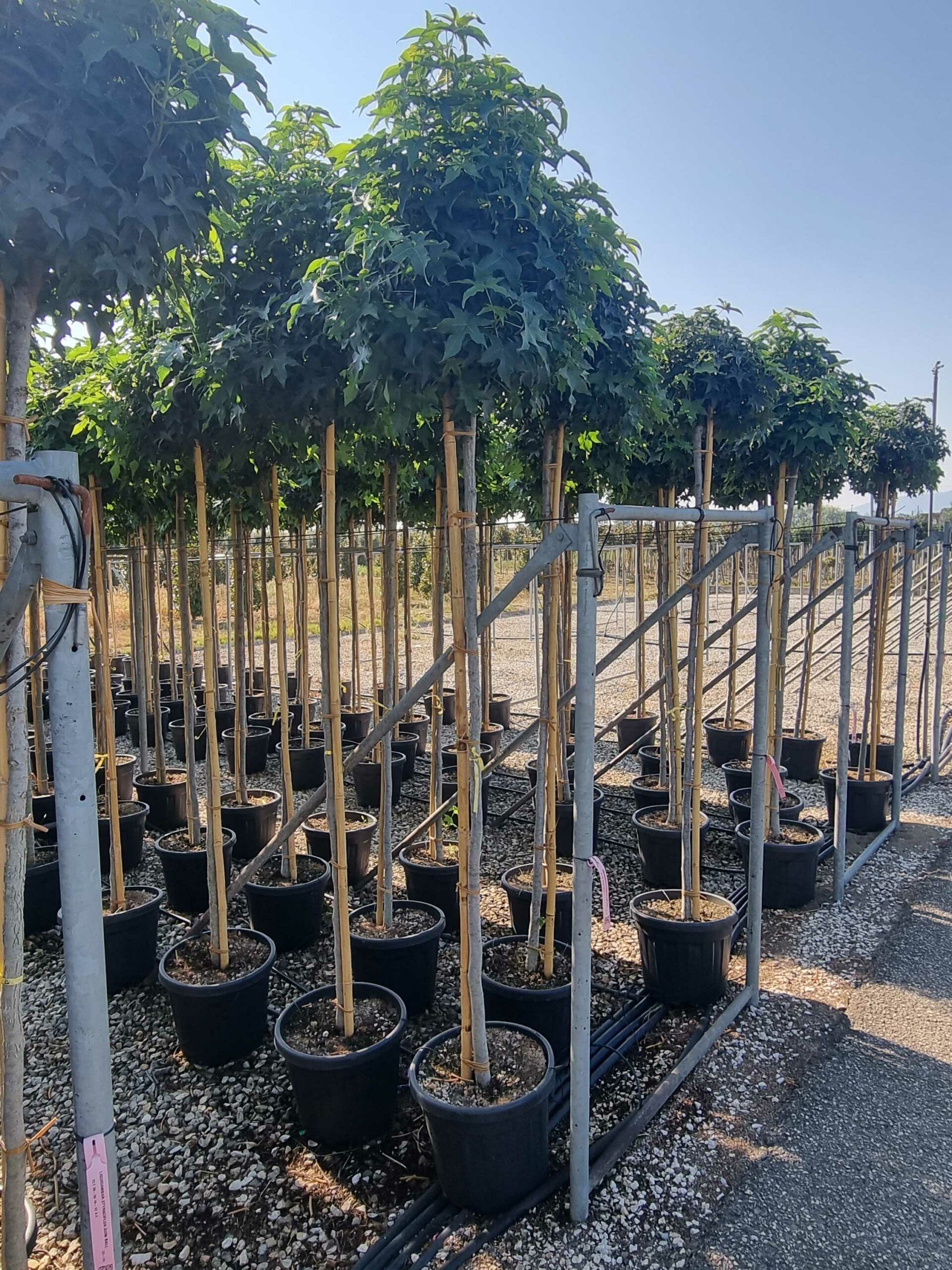 1693034981 scaled 7bfa8145