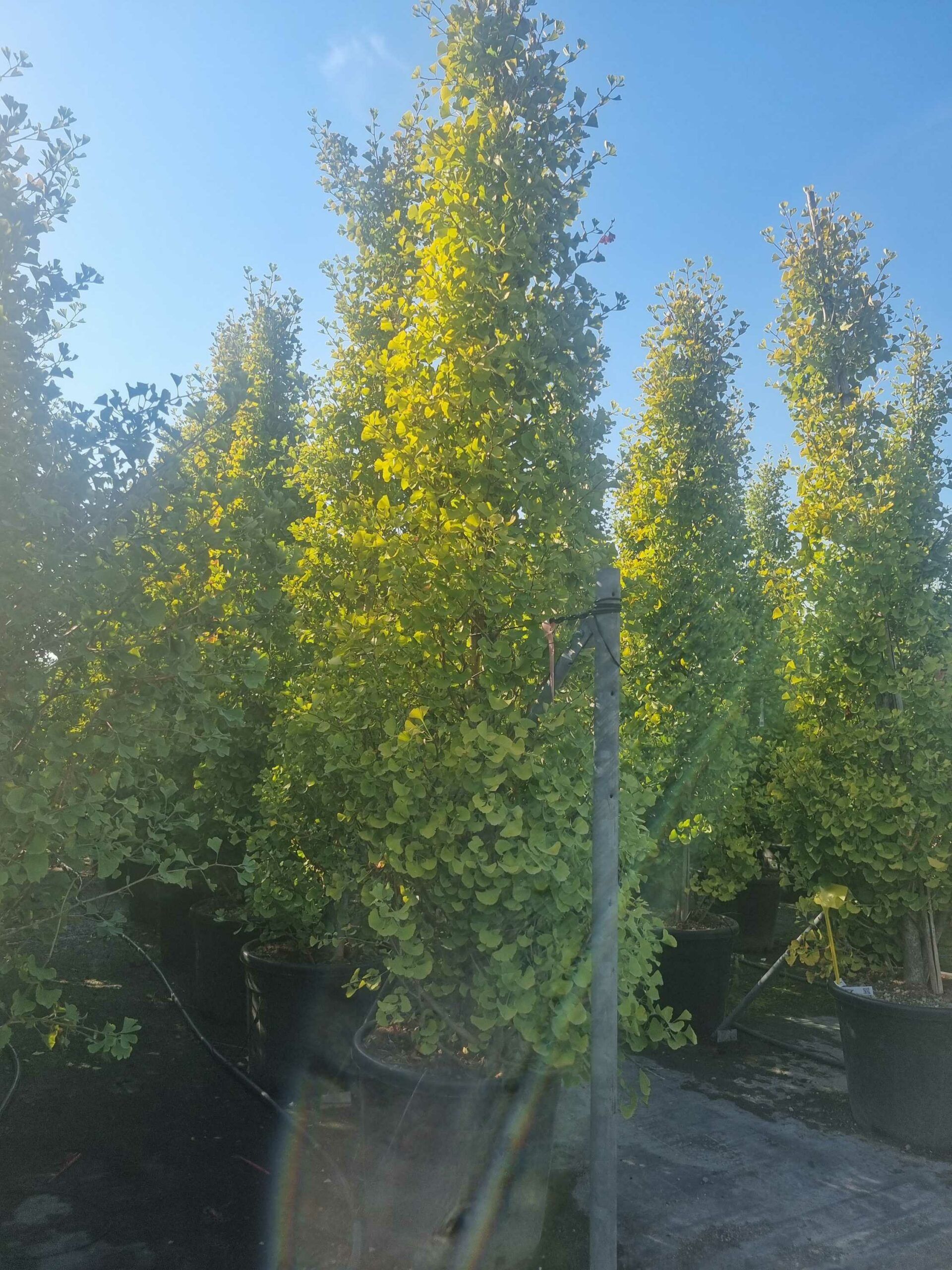 1694444289 scaled 7bc19ab6