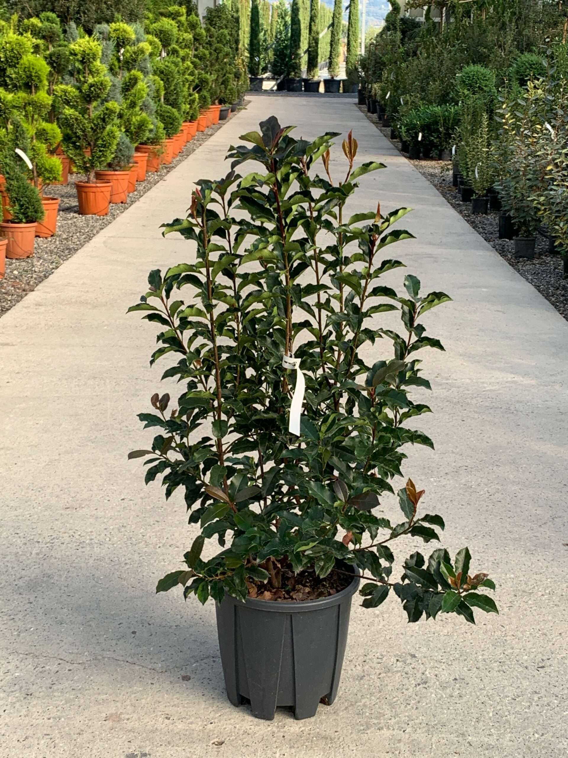 1634977595 scaled 7c99d84c