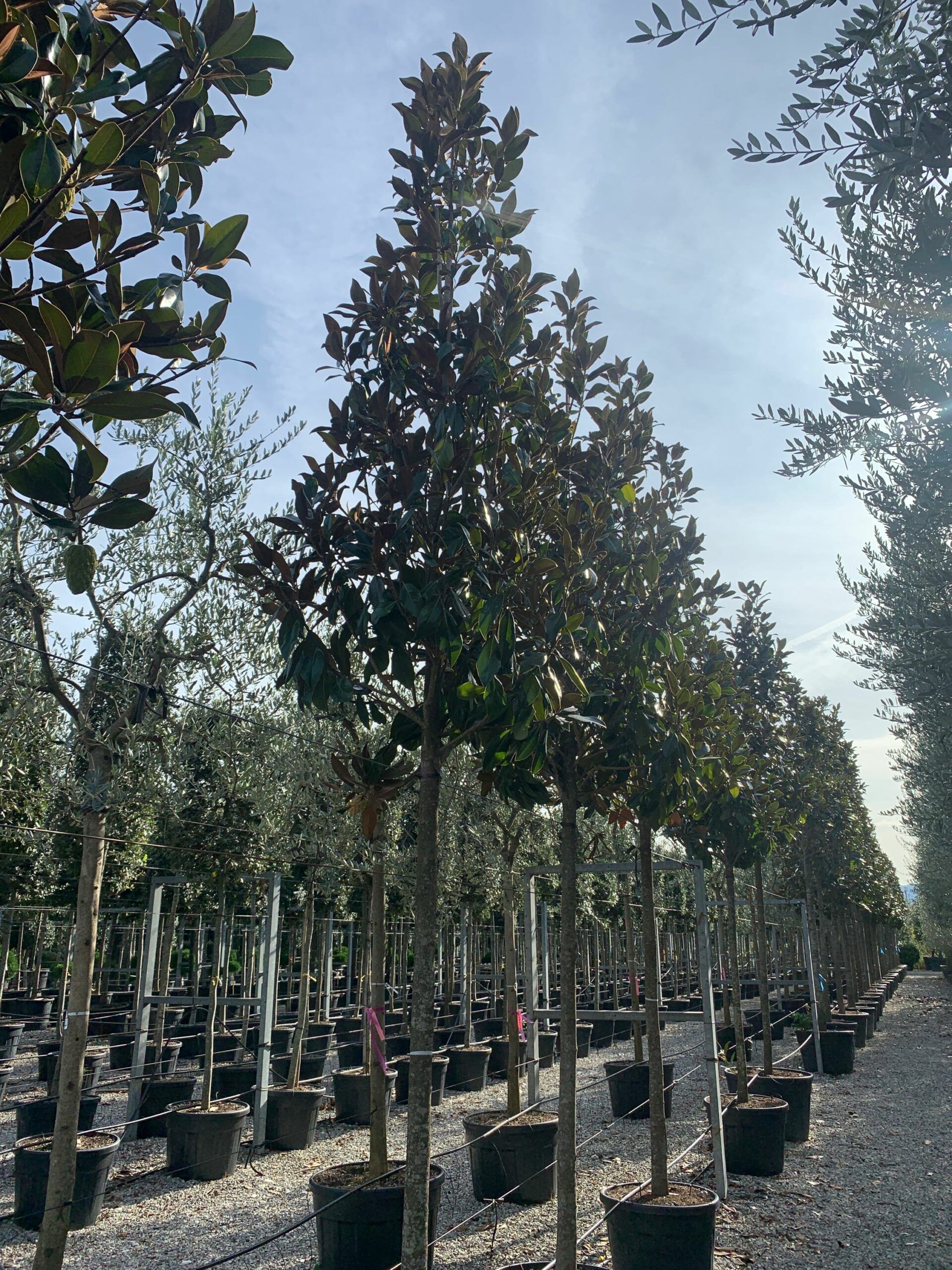 1635166163 scaled 7c878ced