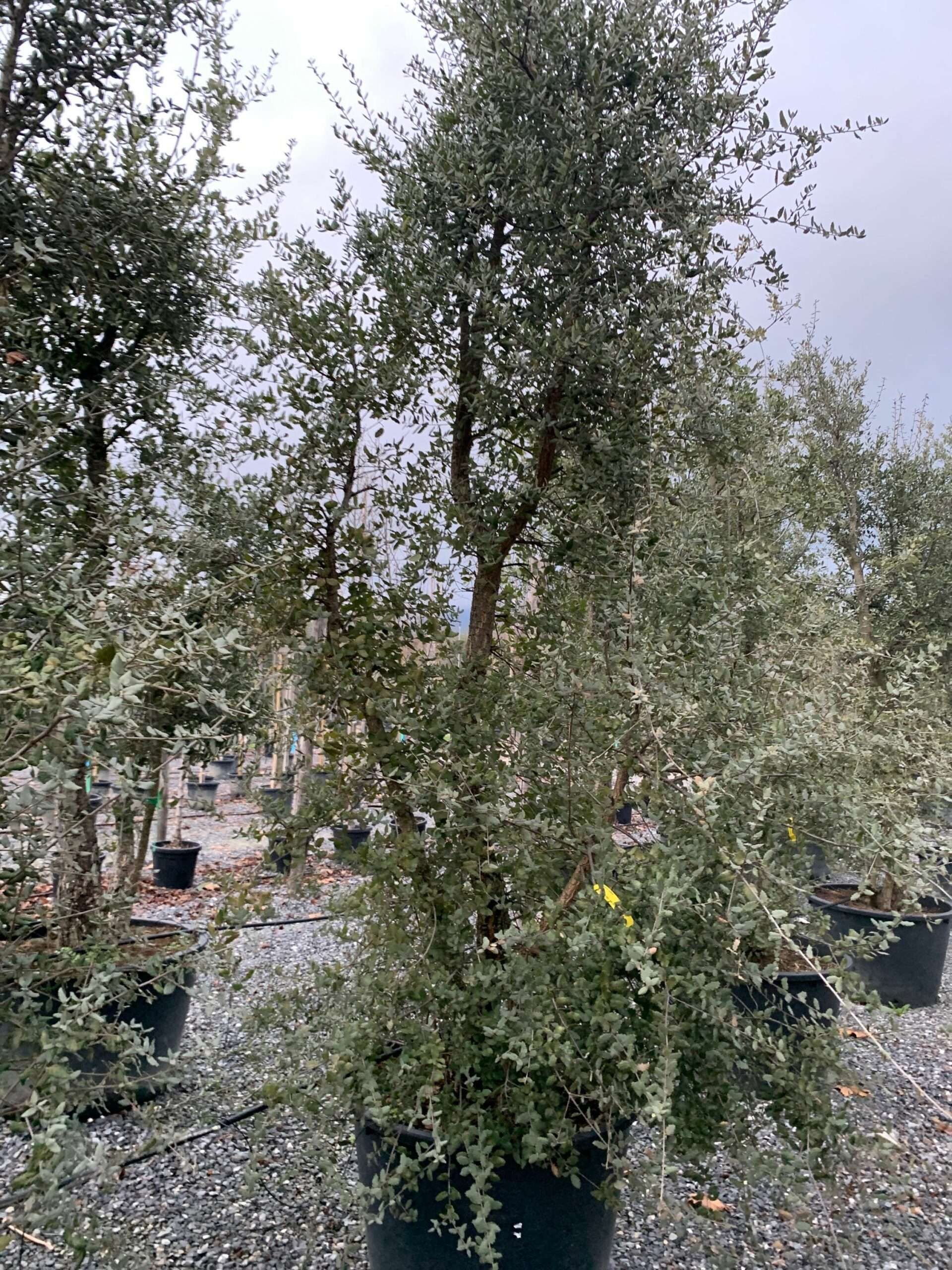 1641224046 scaled 7cb3fd40