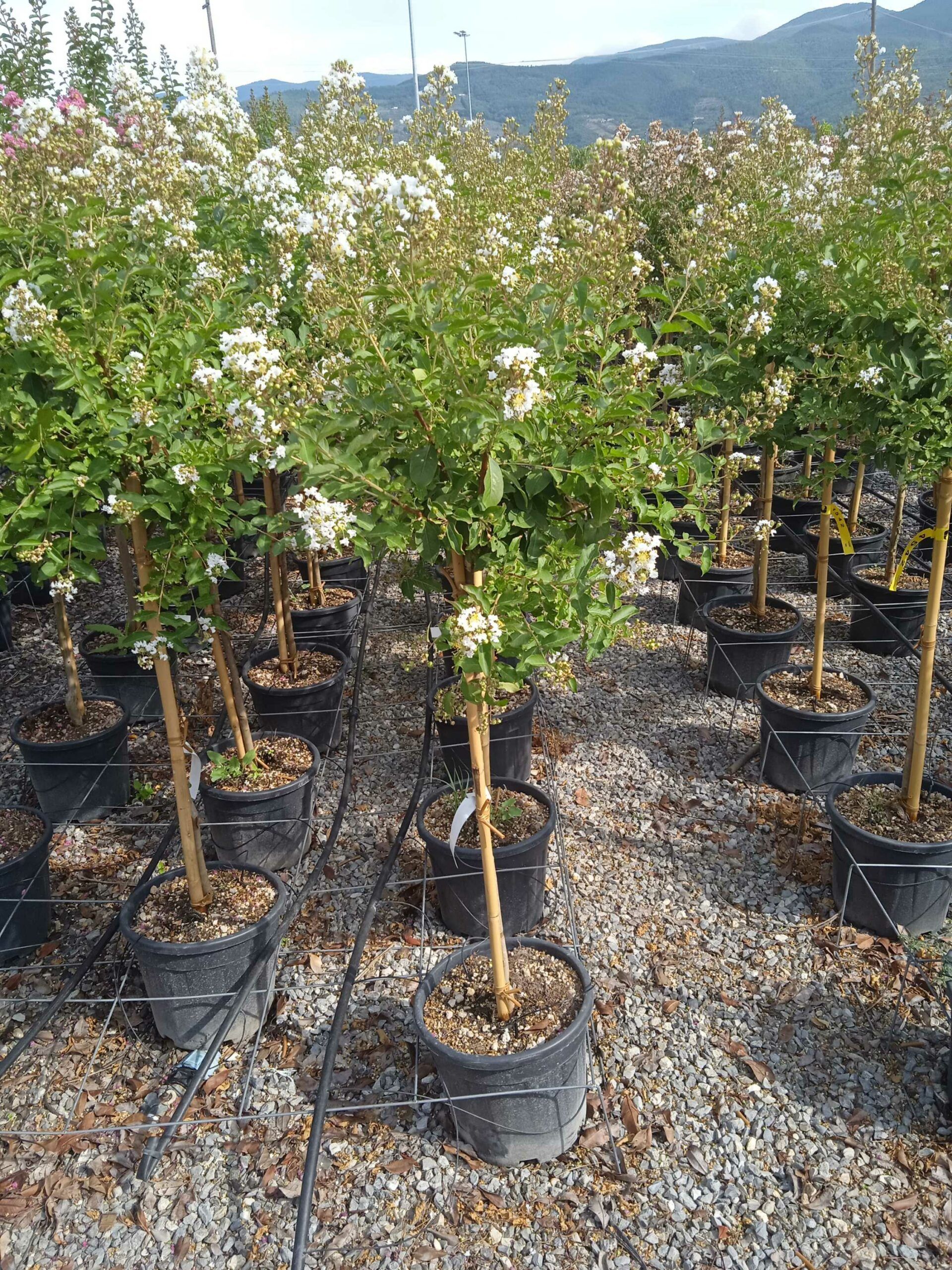 1662021030 scaled 7c7fffc2