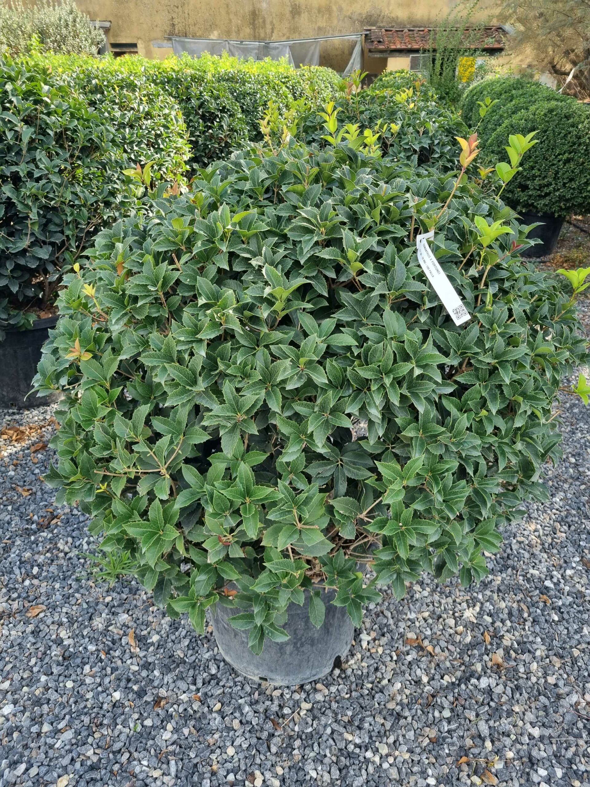 1663595122 scaled 7cfe51a2