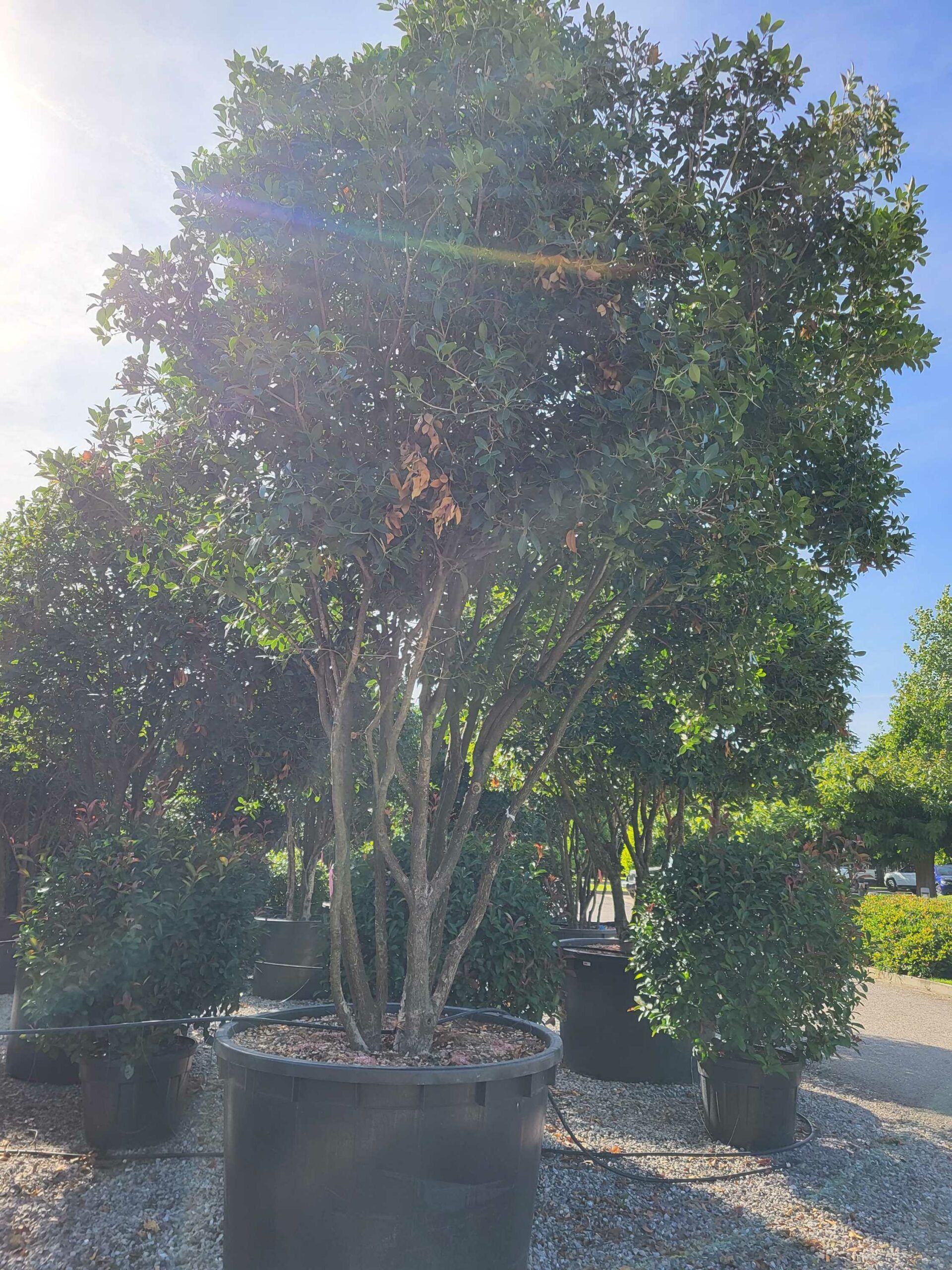 1691593933 scaled 7c1bd129