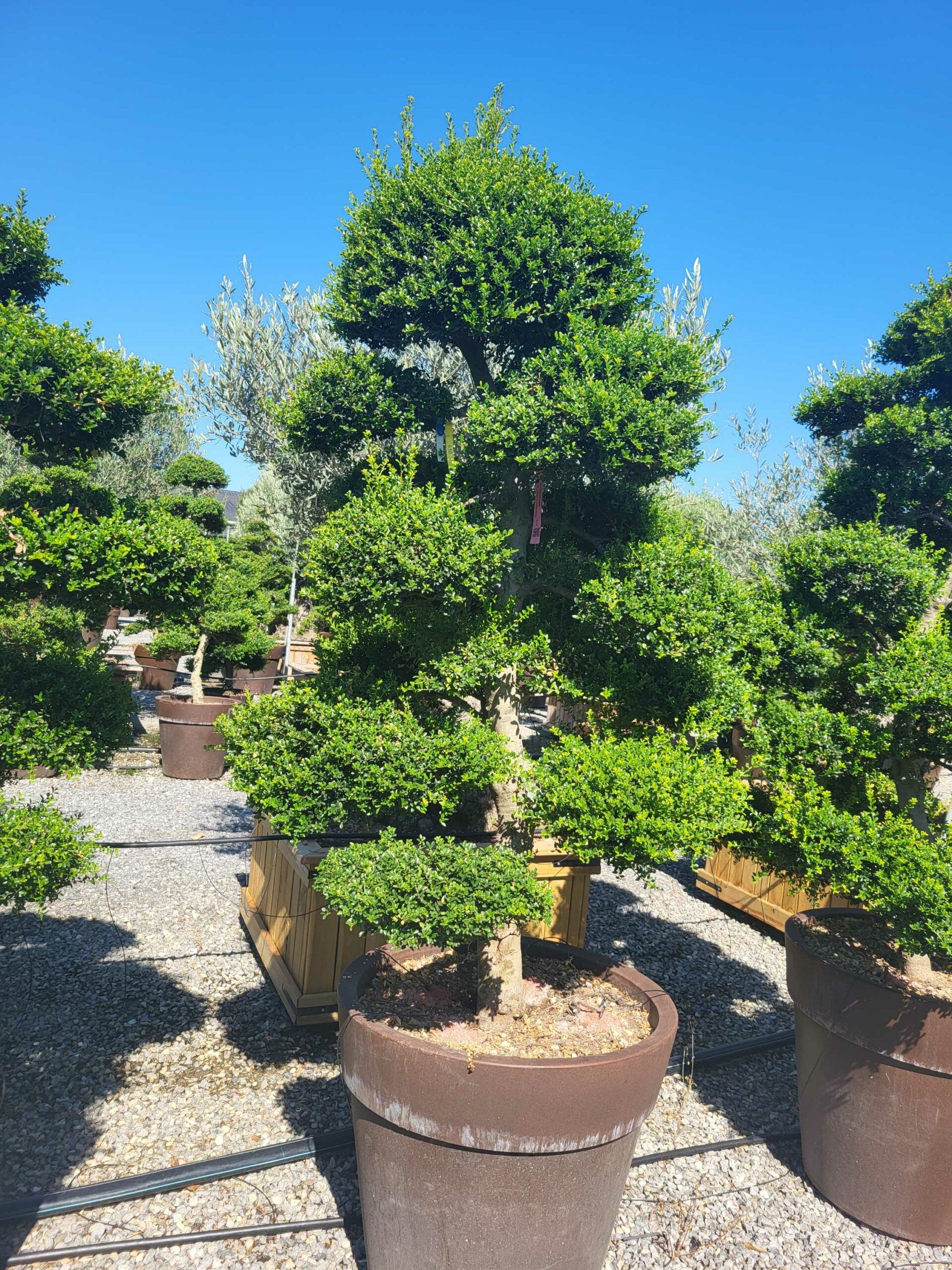 1691655899 scaled 7cdda2f2