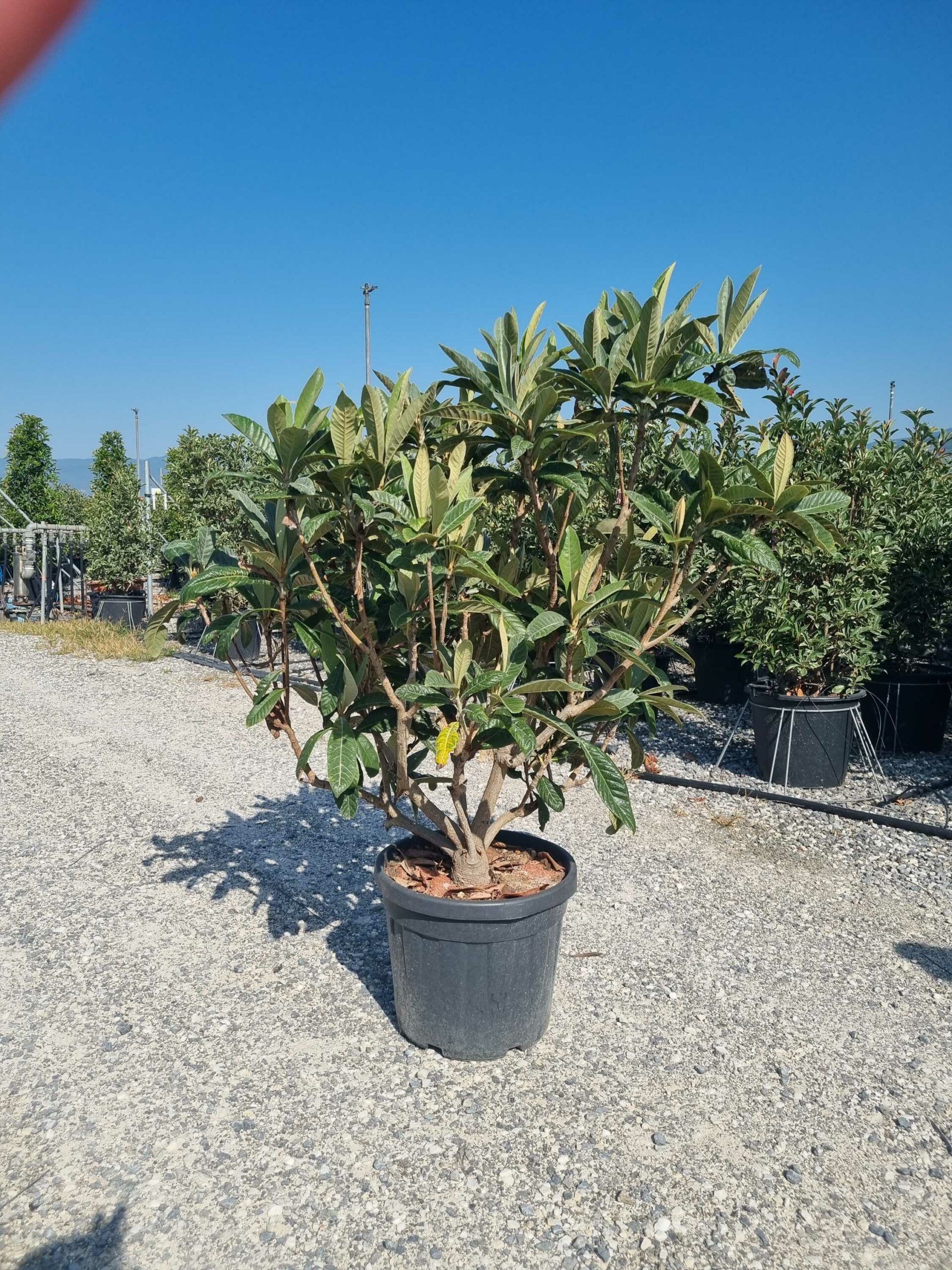 1692951434 scaled 7c3a33e4