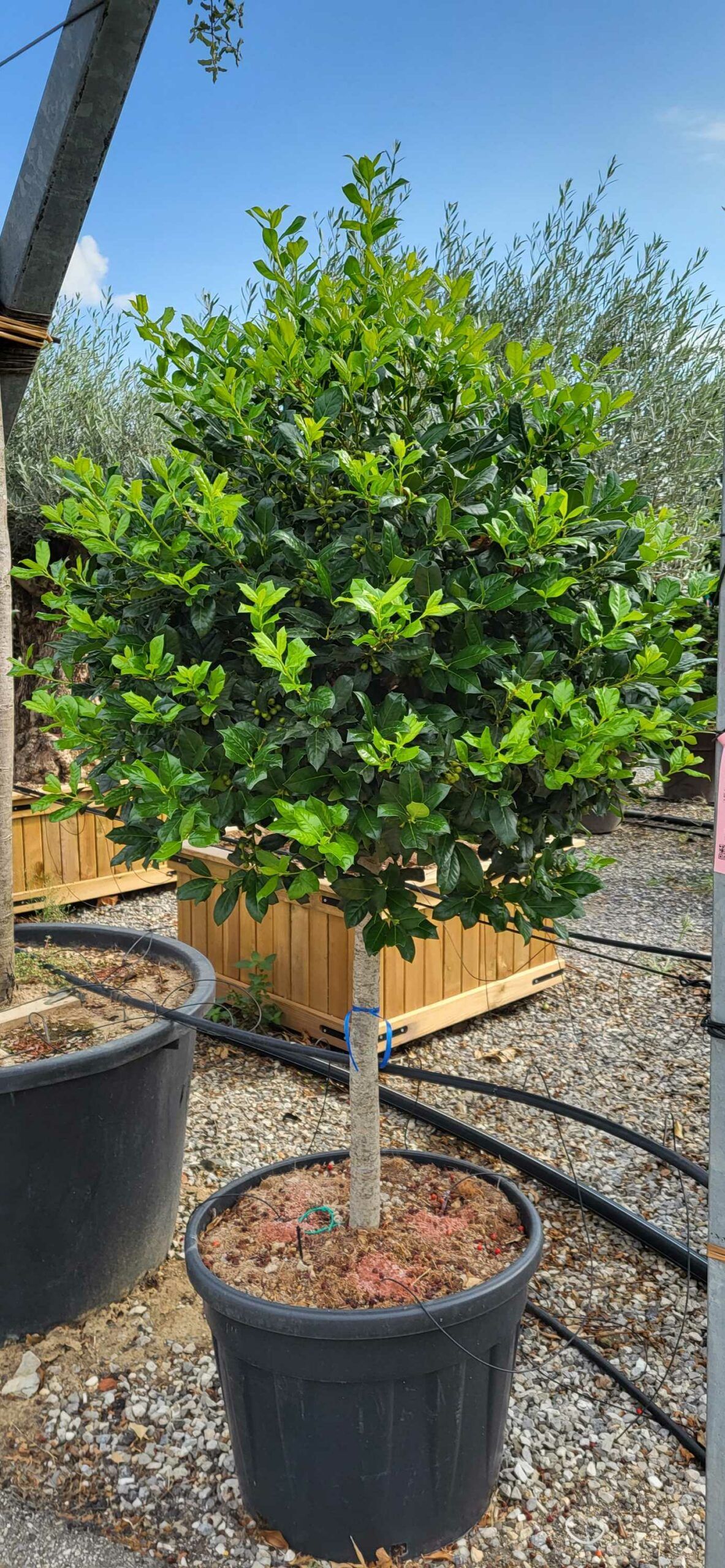 1694764908 scaled 7c400154