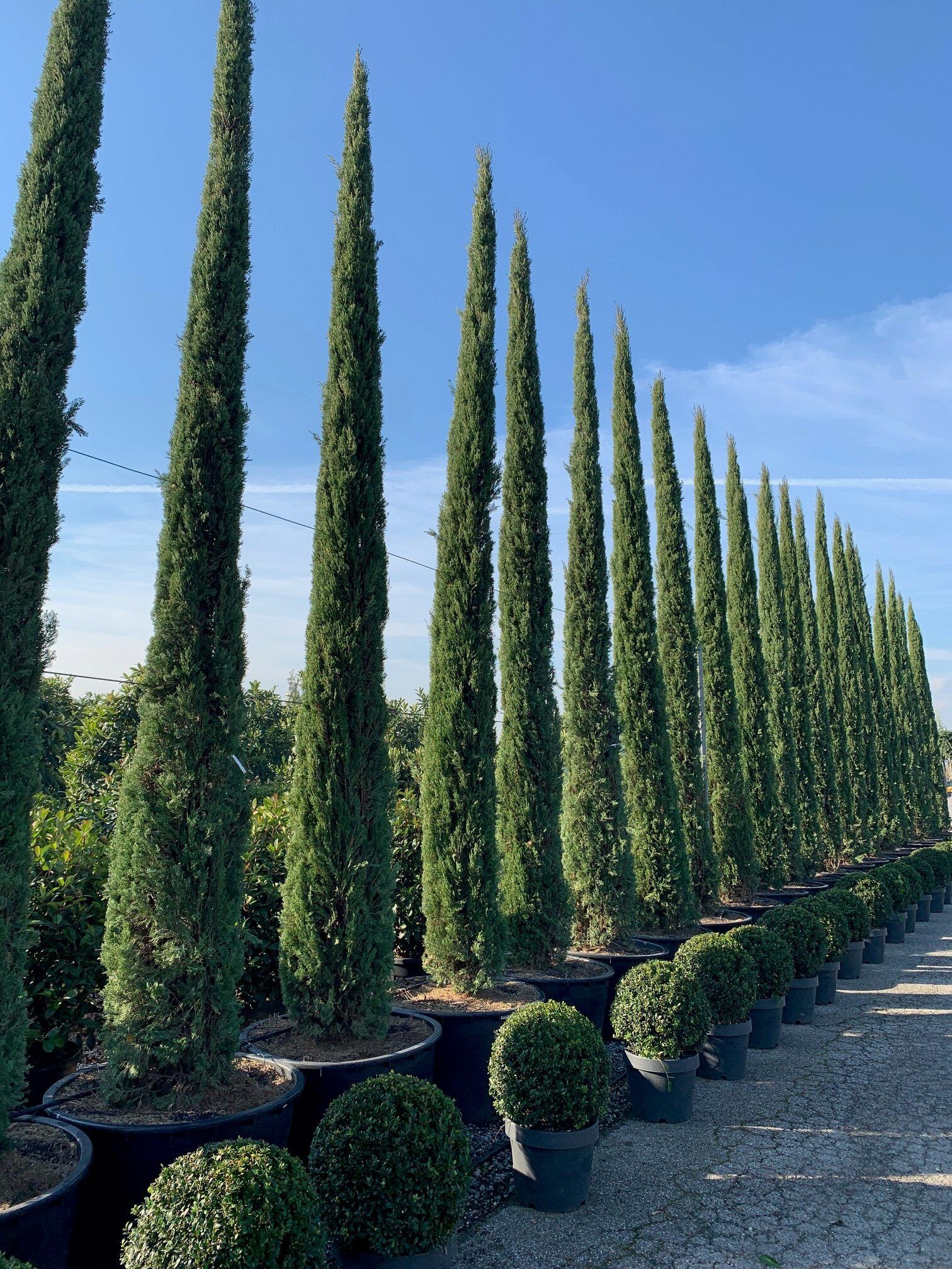 1606498813 rotated 7d5e407b