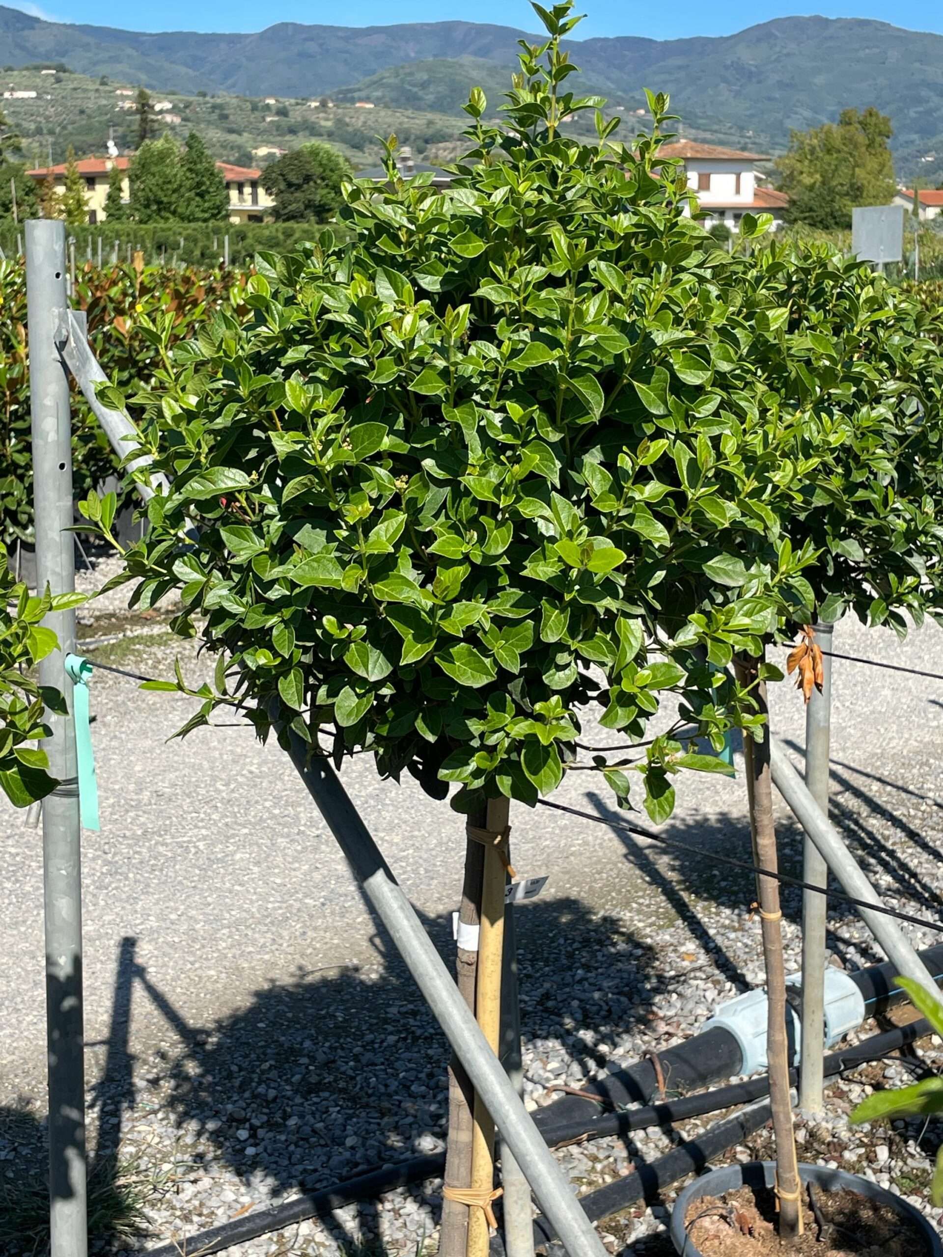 1632315708 scaled 7d6484b9