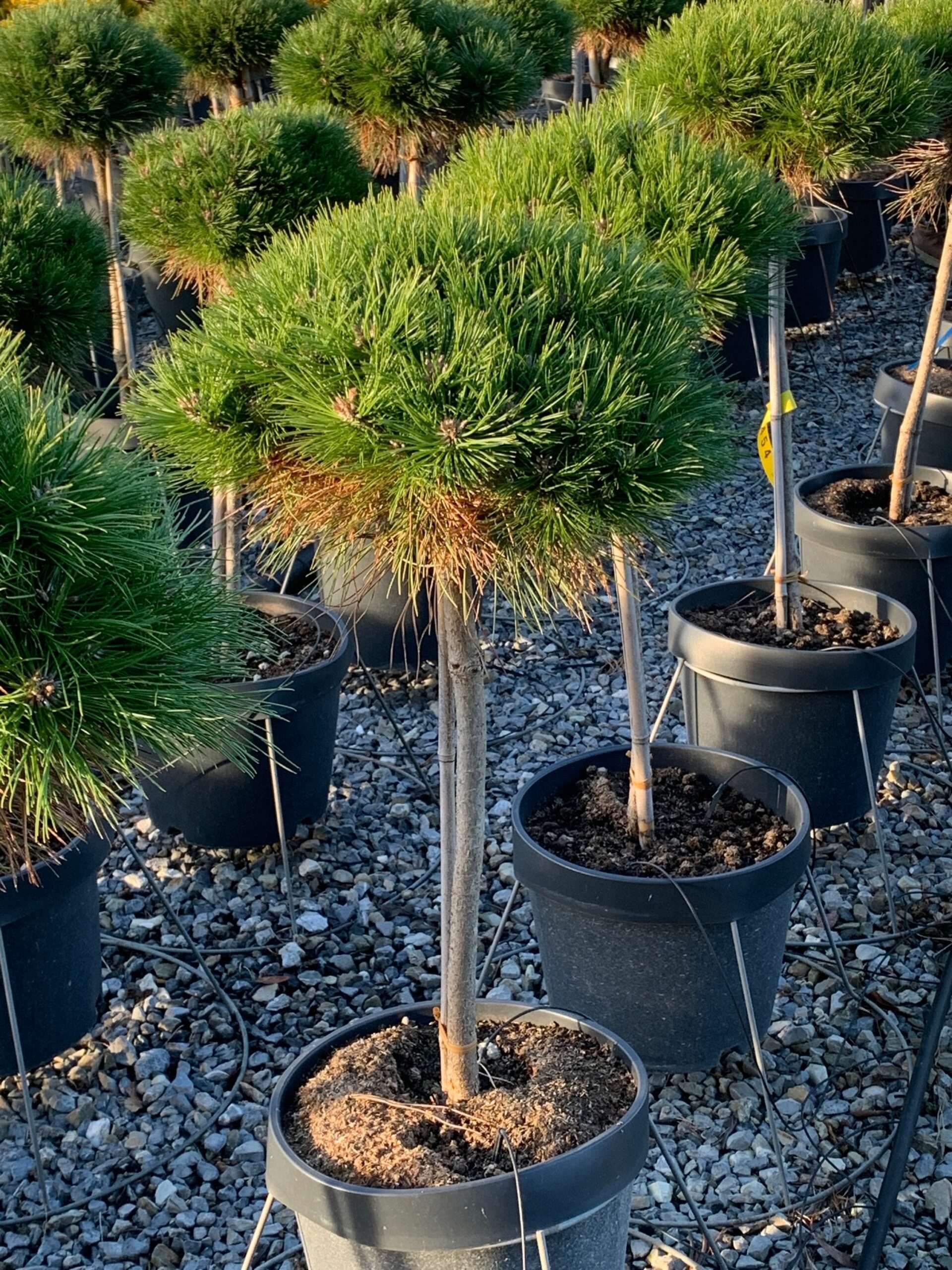 1638281669 scaled 7dc29008