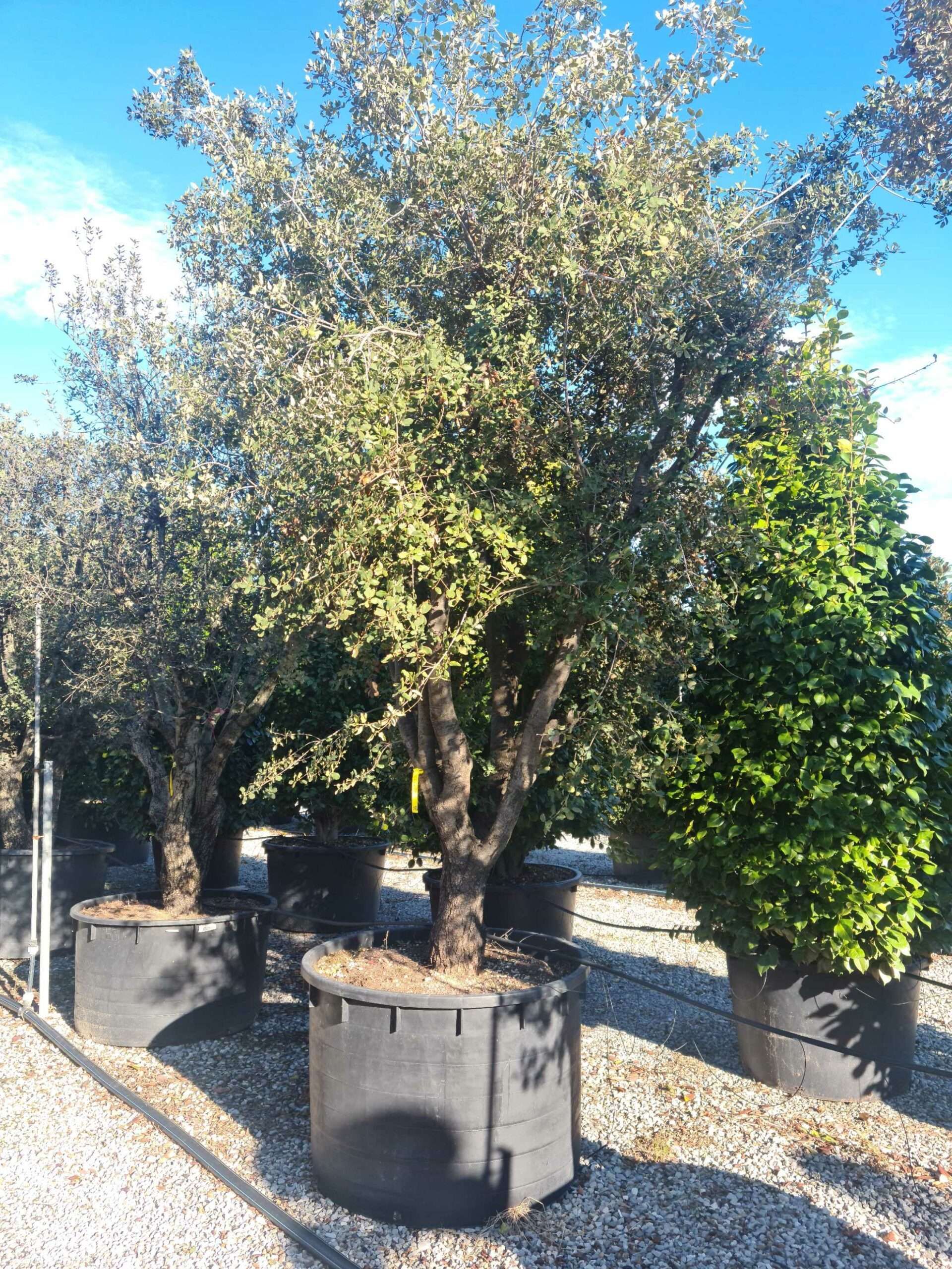 1639657267 scaled 7d86b3d2